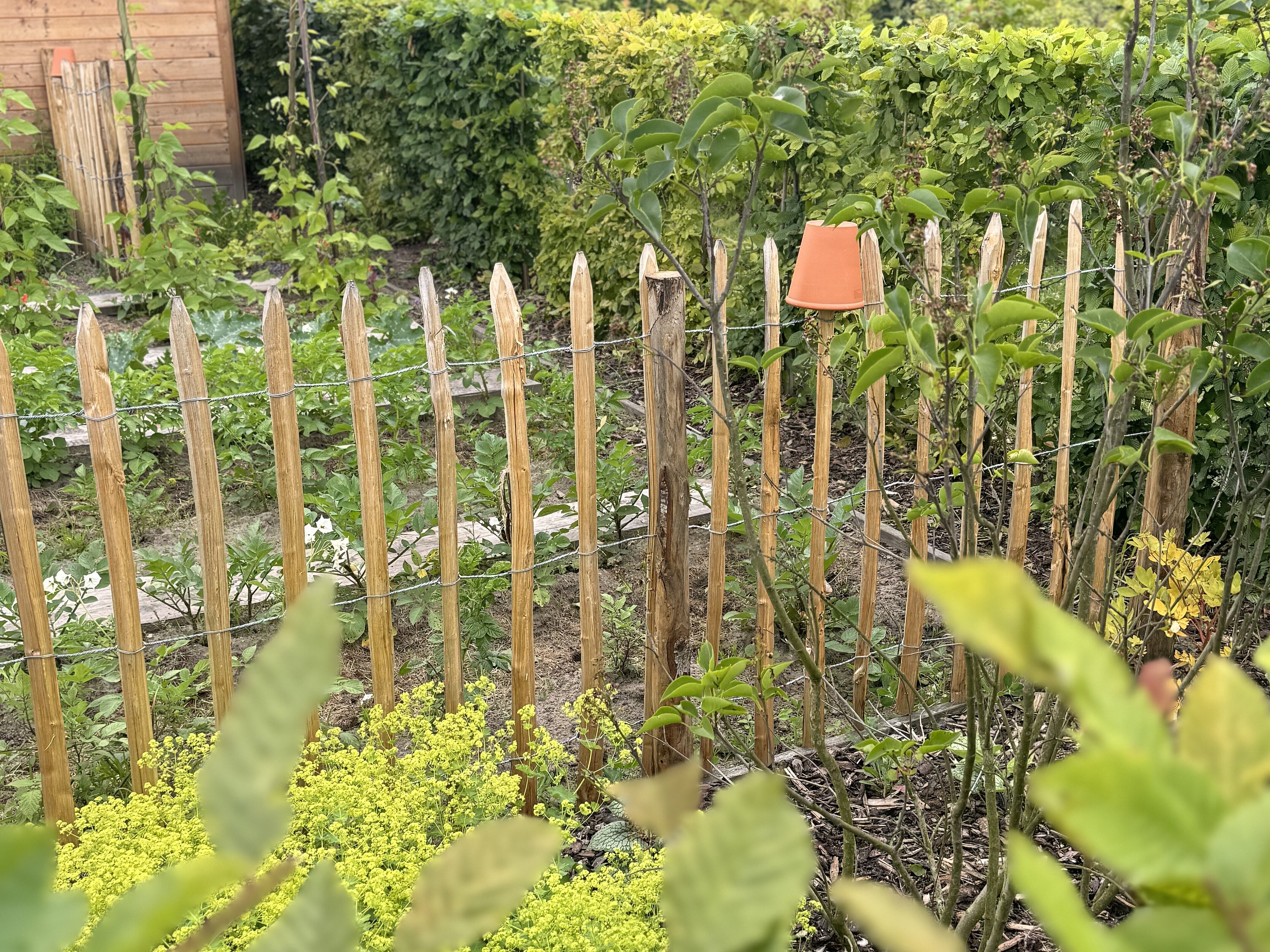 Tag der Offenen Gartenpforte // 6. Juli 2025 Blick auf Gartenzaun mit Blumentopf über Zaunpfosten