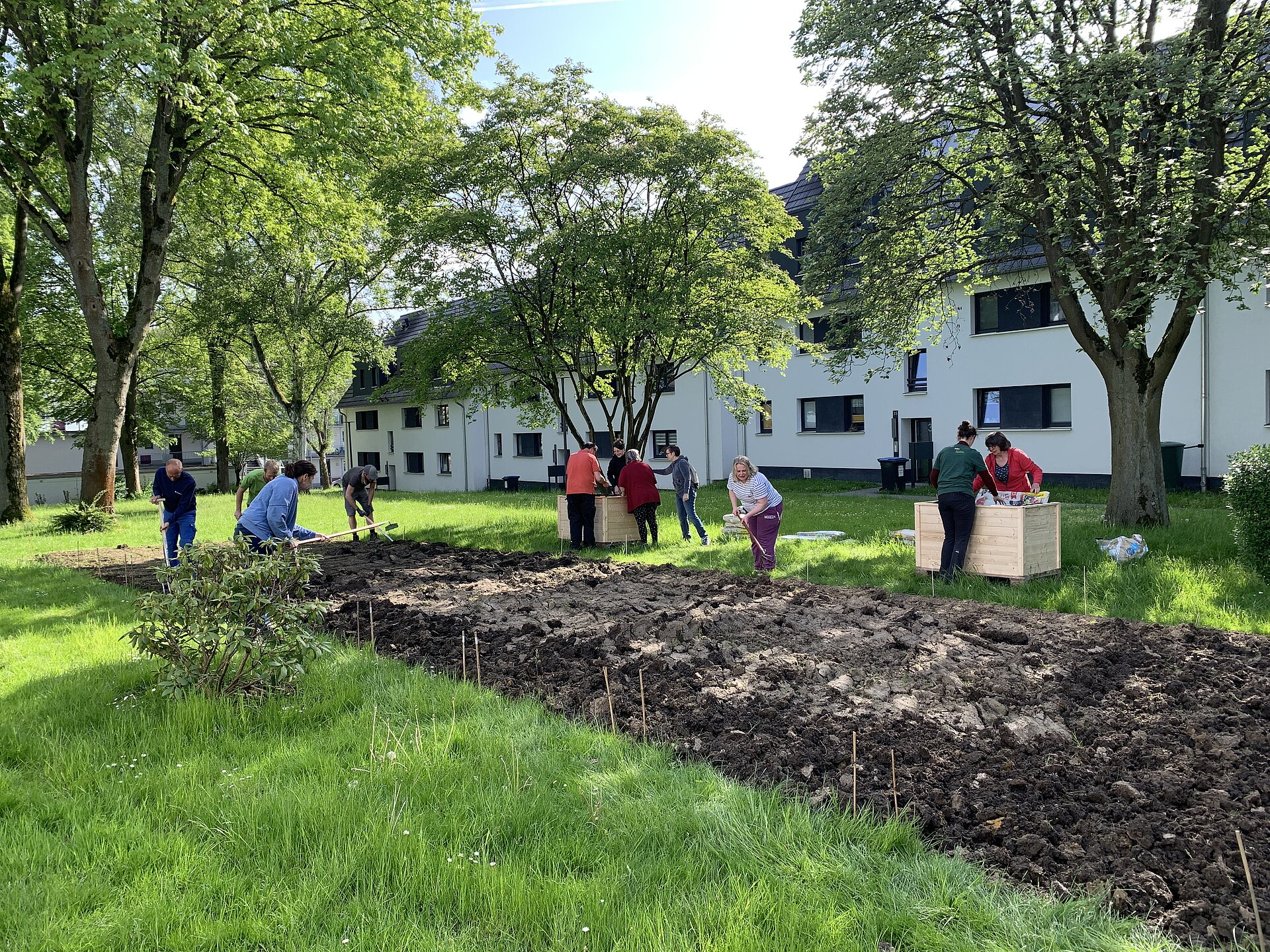 Acker, Menschen, Zwischenraum, Hochbeete