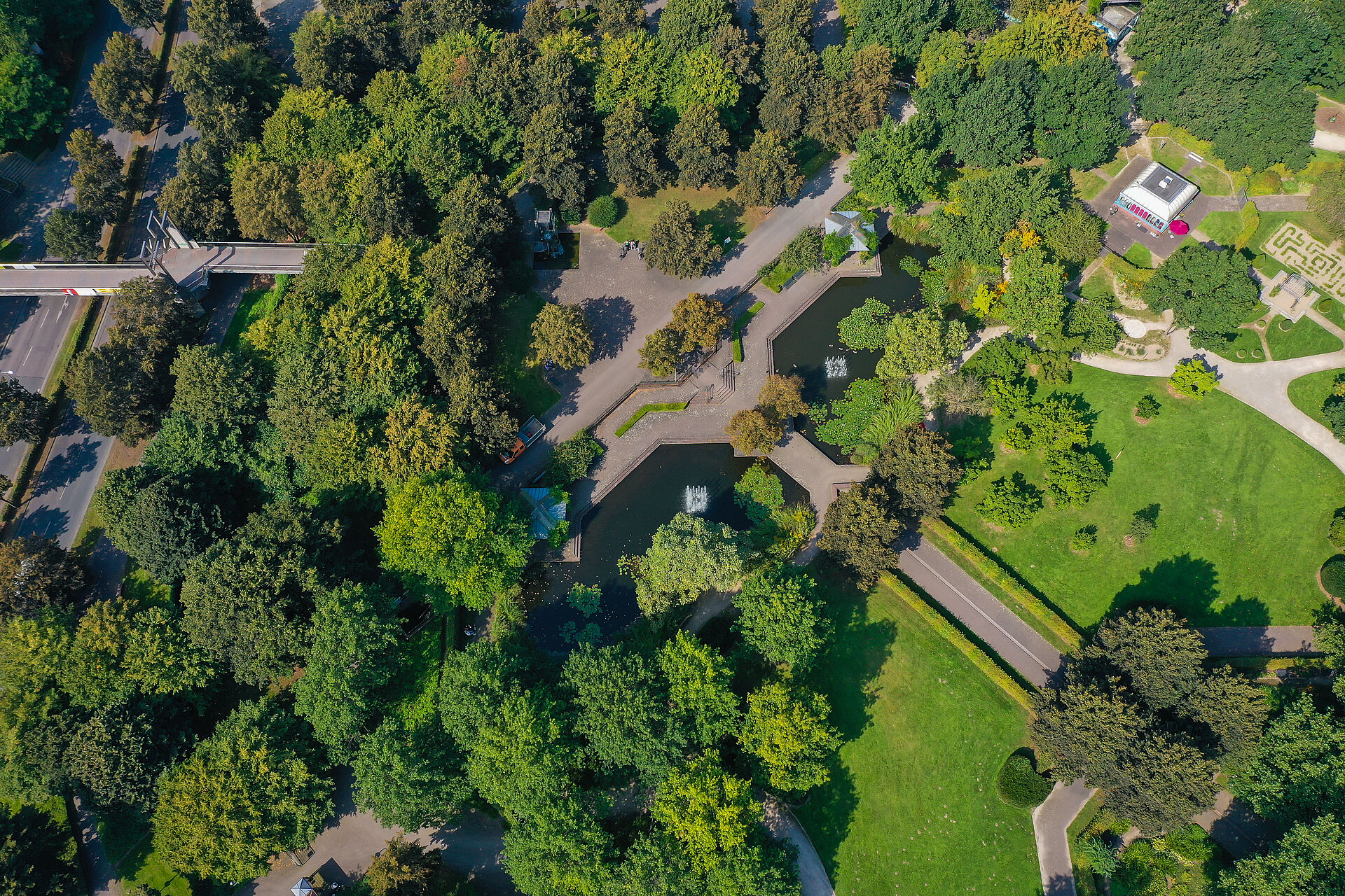 Drohnenperspektive auf einen Stadtgarten umgeben von Bäumen