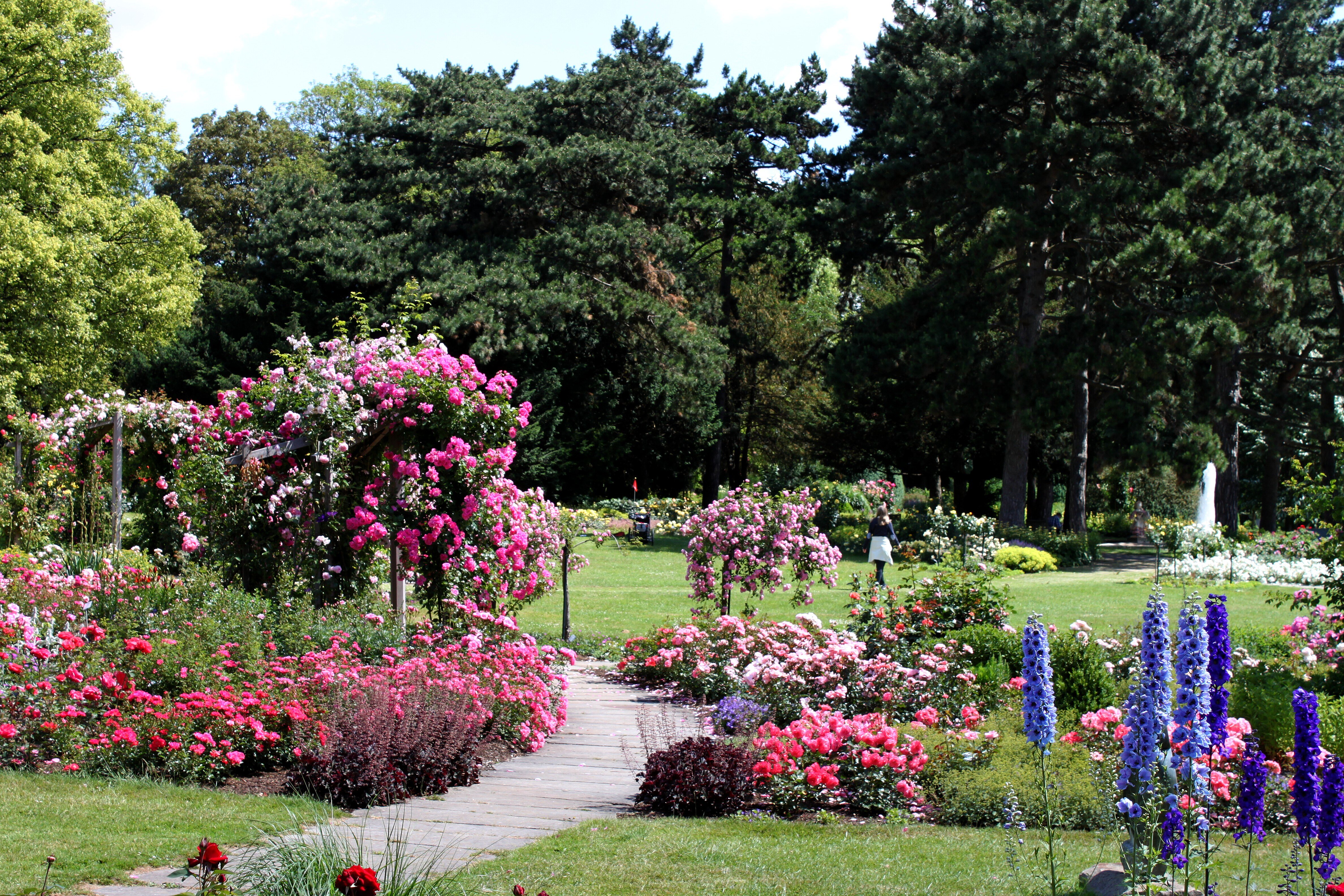 Westfalenpark, Rosengarten im Kaiserhain @ Stadt Dortmund