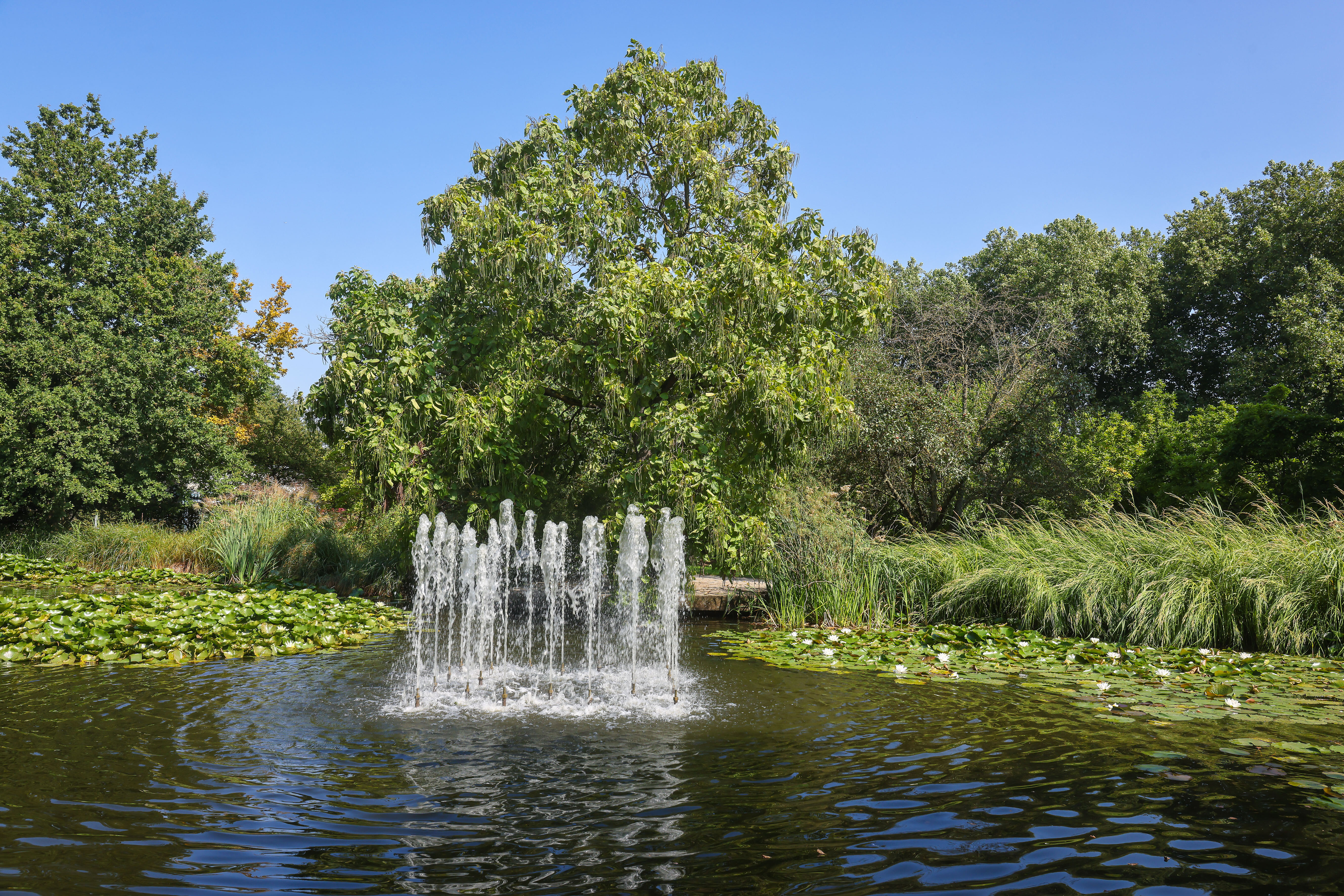 Beispielbild: Springbrunnen im Park, Foto: Oberhäuser