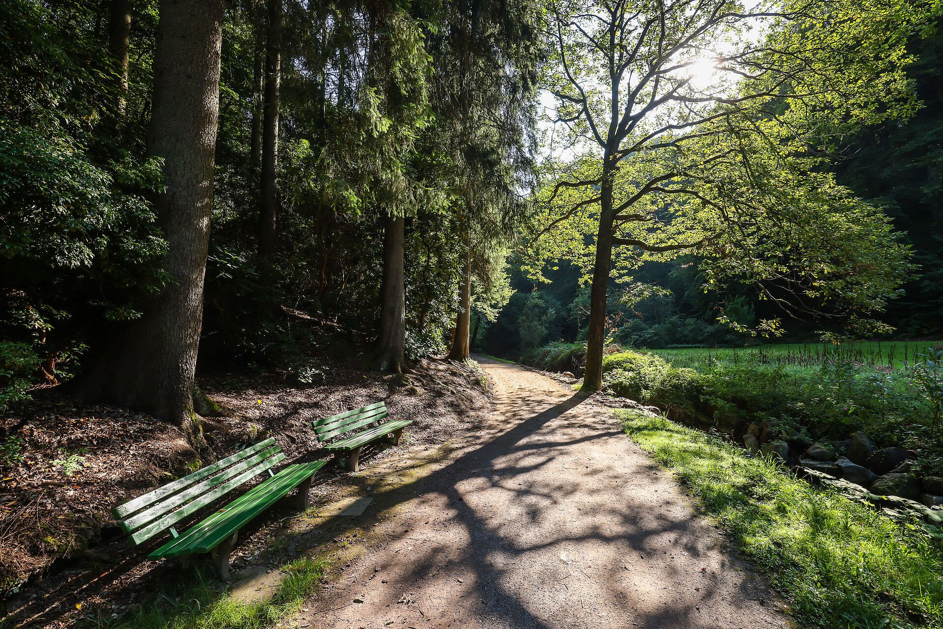 Eine Parkanlage als Zukunftslandschaft neu gestalten.© Rupert Oberhäuser