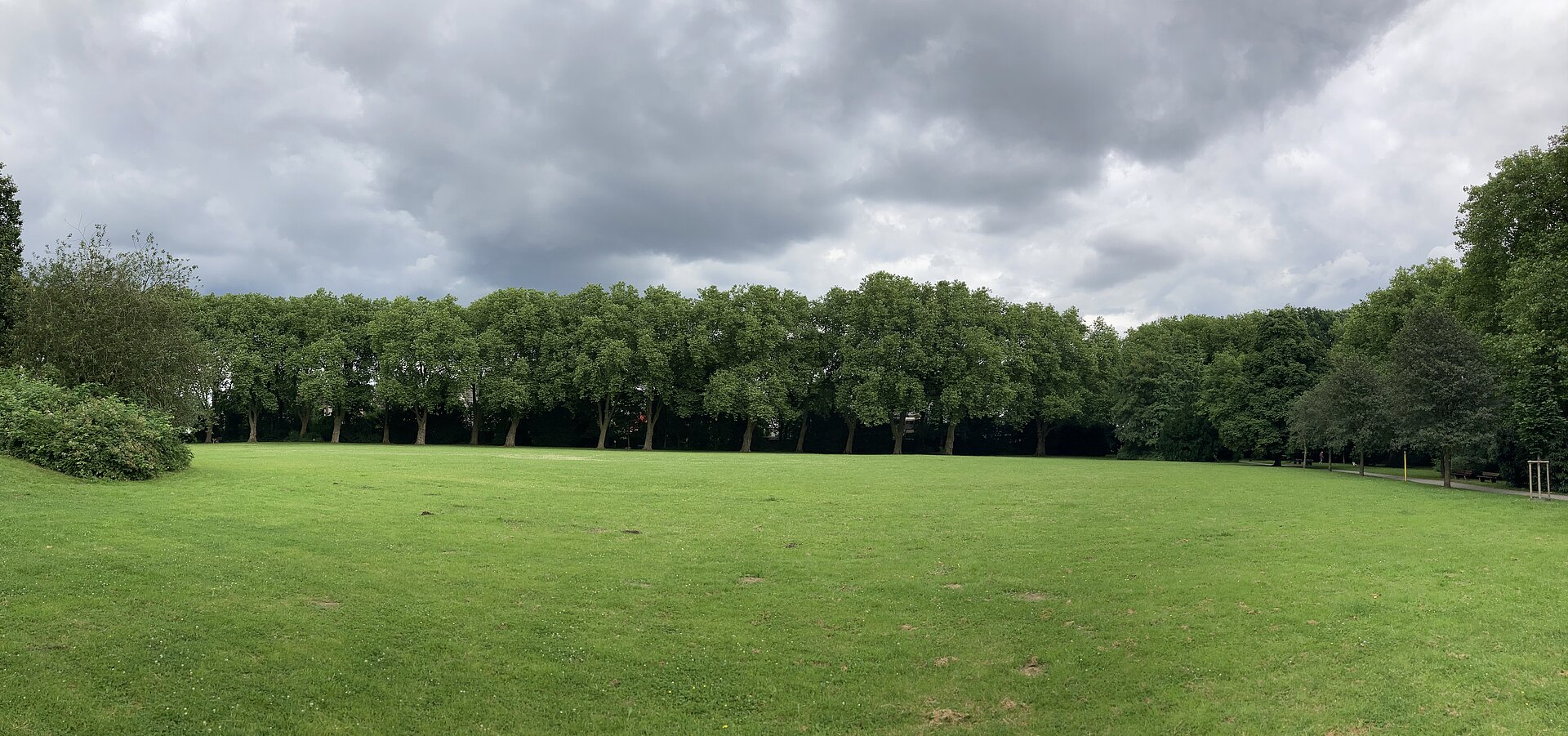 Frontalperspektive auf die grüne Jahnwiese umgeben von Bäumen