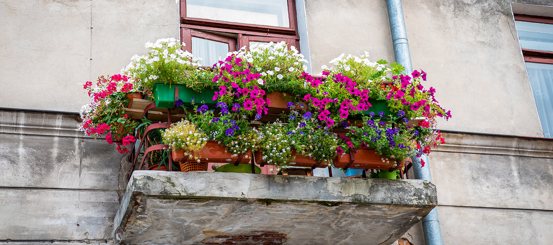 Old dilapidated balcony filled with lots of beautiful colorful flowers.