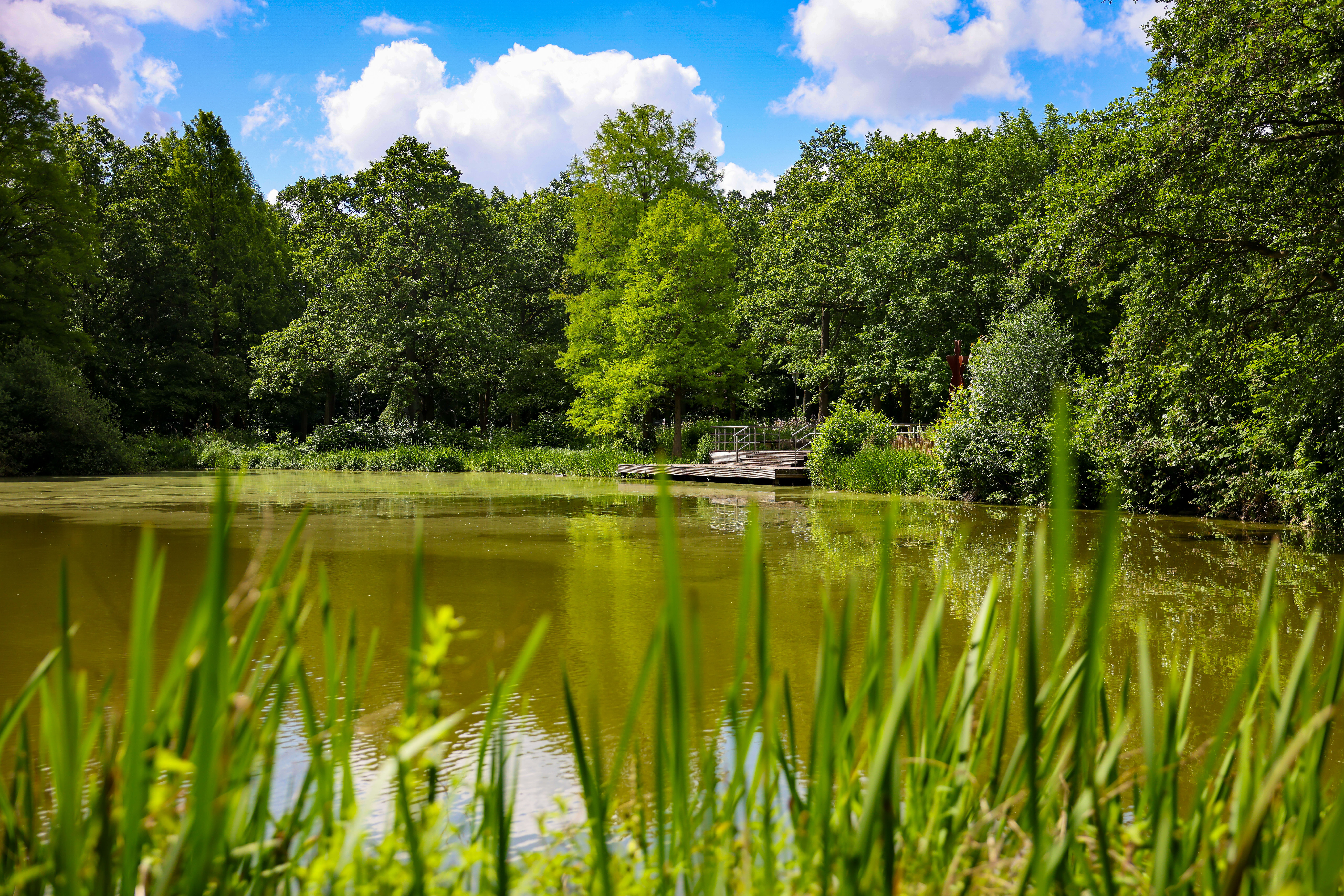 Fredenbaumpark © Oberhäuser Fredenbaumpark © Oberhäuser