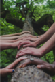 Ecoheroes Hände halten einen Baumstamm