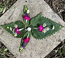 Die Zukunft im Garten entdecken – mit allen Sinnen verbunden! Querwaldein e.V. Pflanzen Mandala