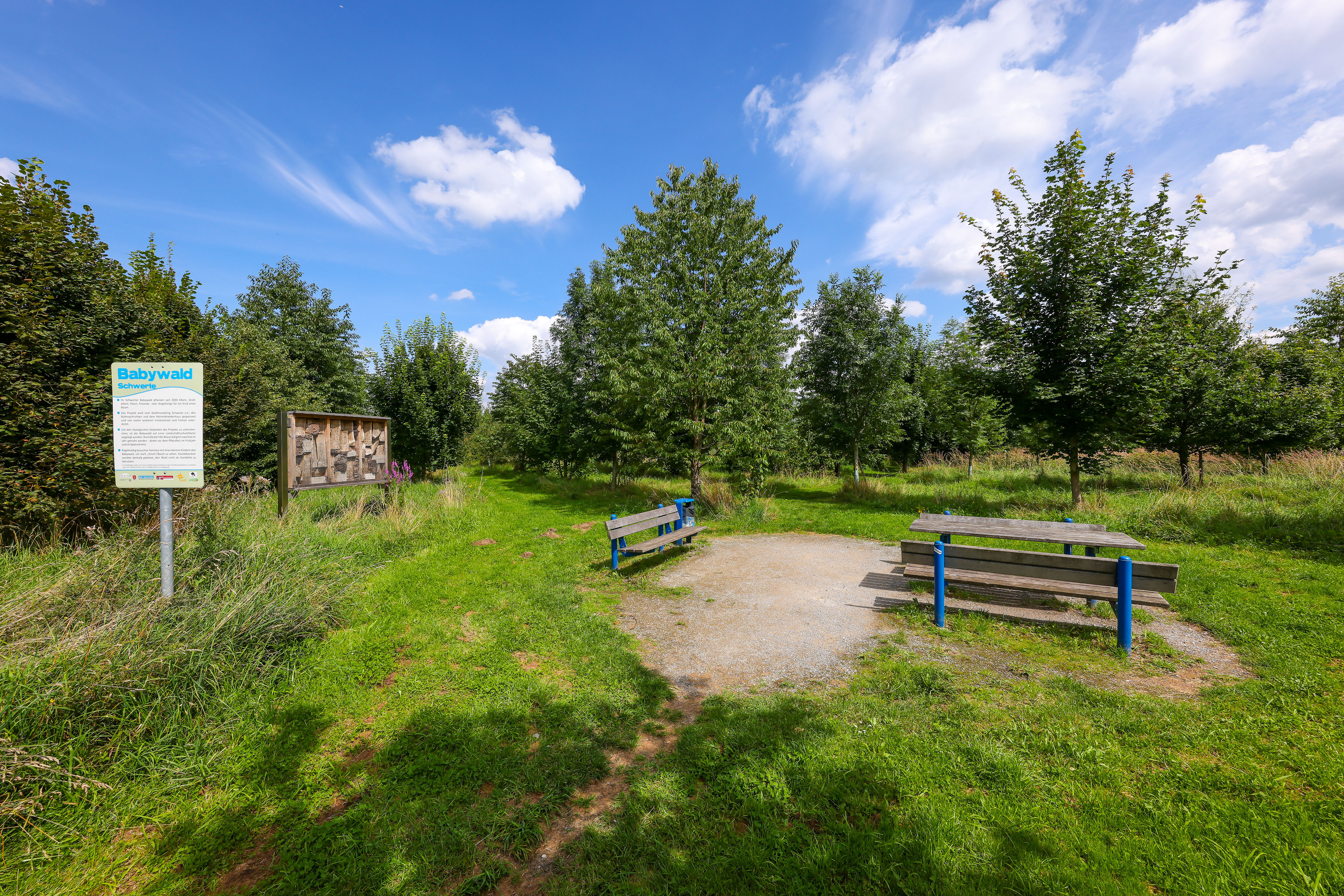 Drei Bänke und ein Tisch auf einer Lichtung im "Babywald"