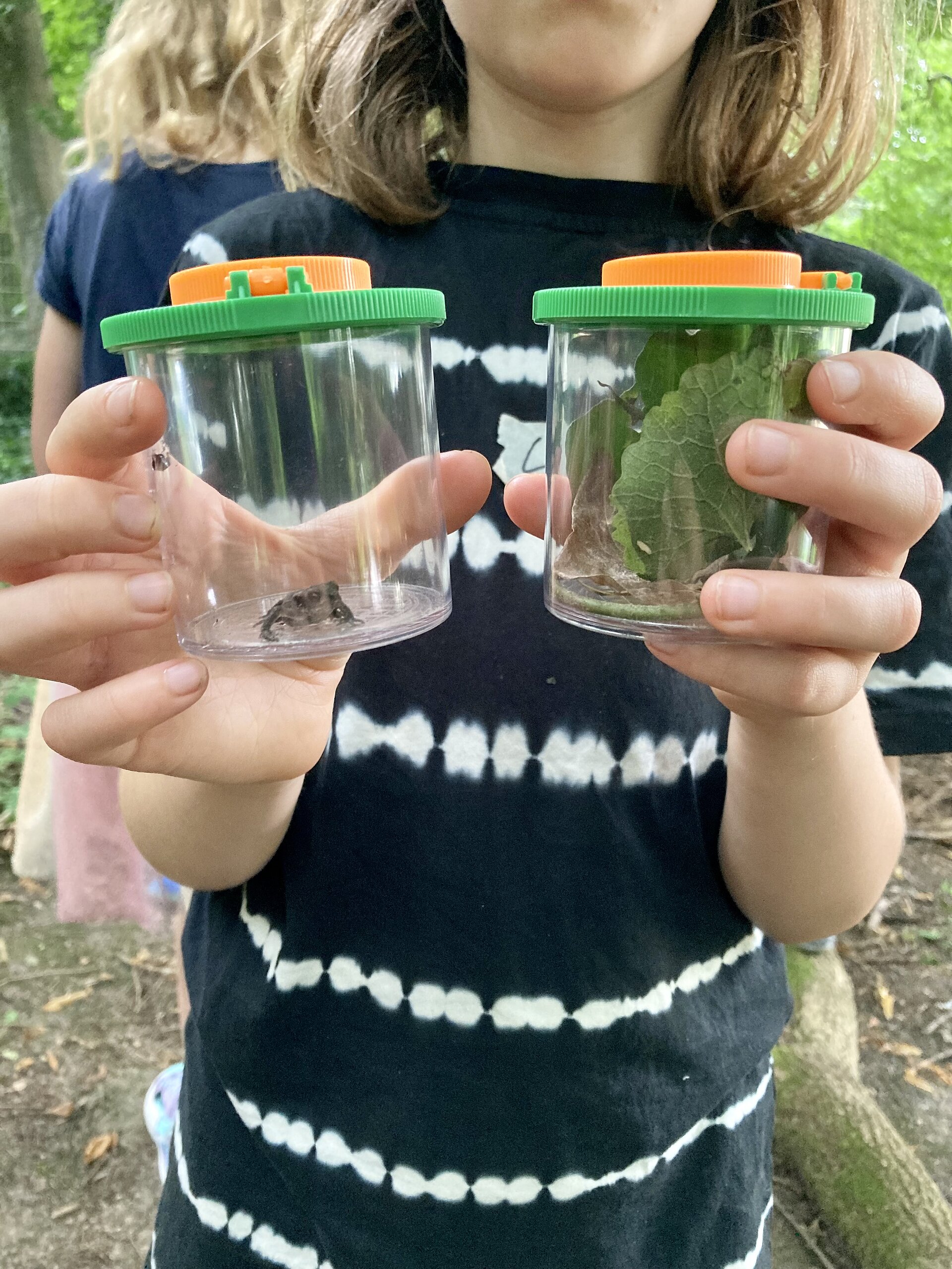 Ein Kind hält zwei Becherlupen, in denen Blätter und kleine Bodenlebewesen zu sehen sind 