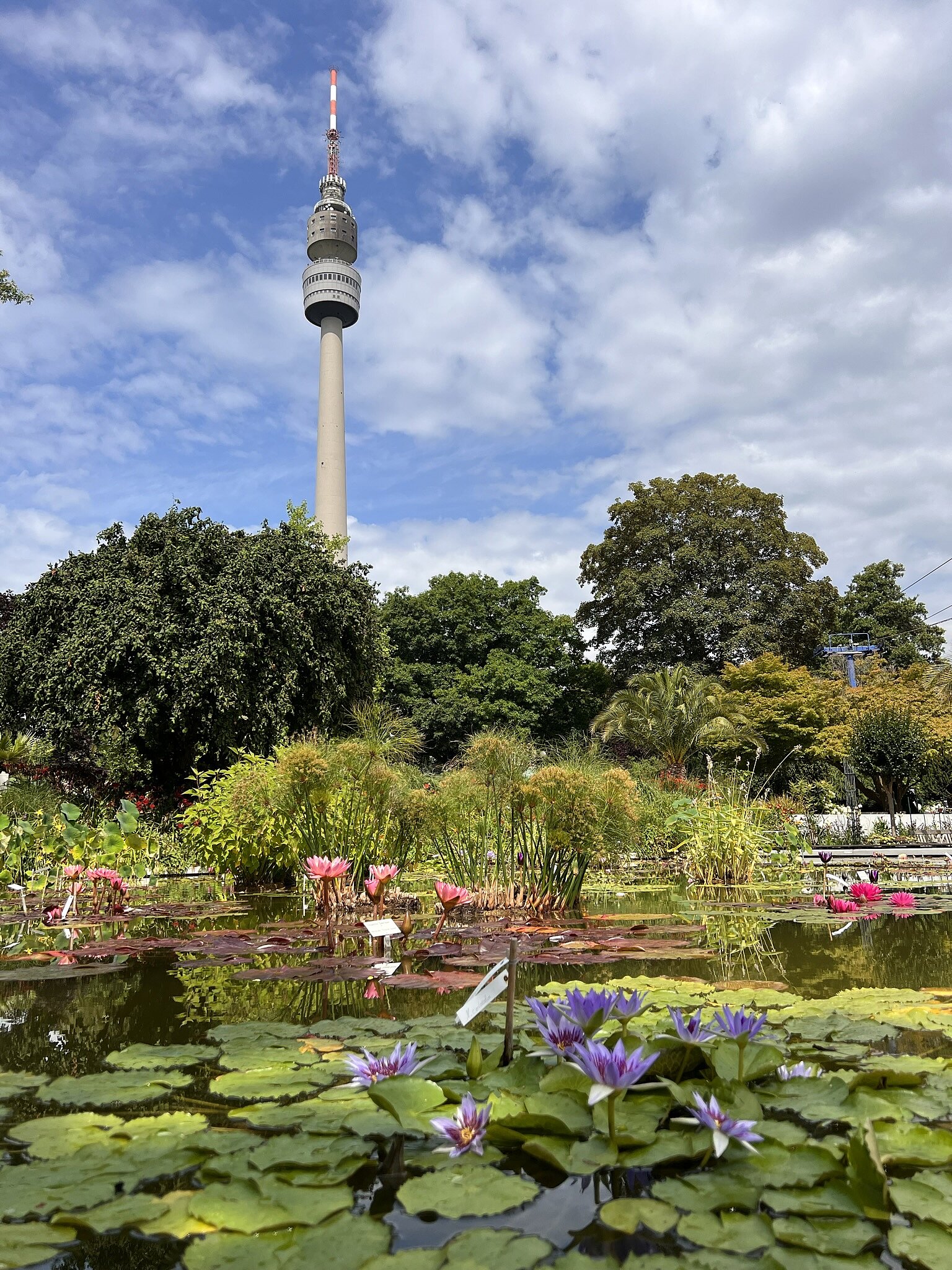 Westfalenpark im Sommer @ Stadt Dortmund Westfalenpark im Sommer @ Stadt Dortmund