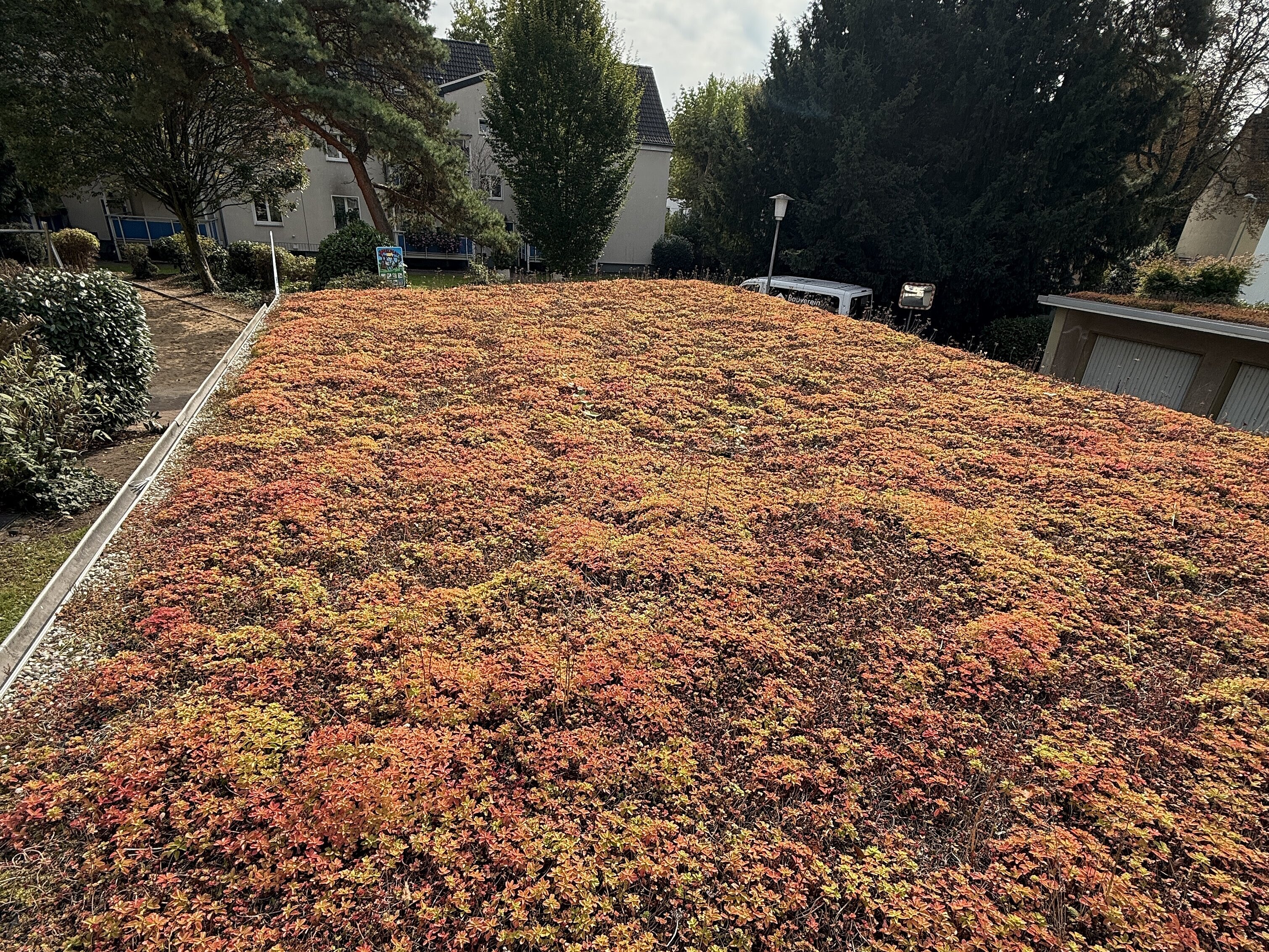 Bereisung "100 Wohngärten" Projekte im September 2025