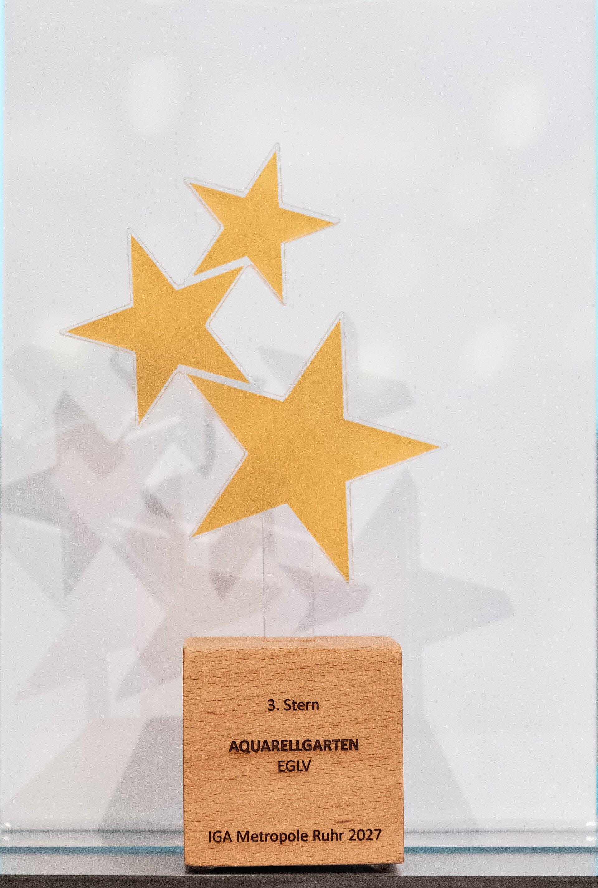 Dritter-Stern-Award © Helena Grebe
