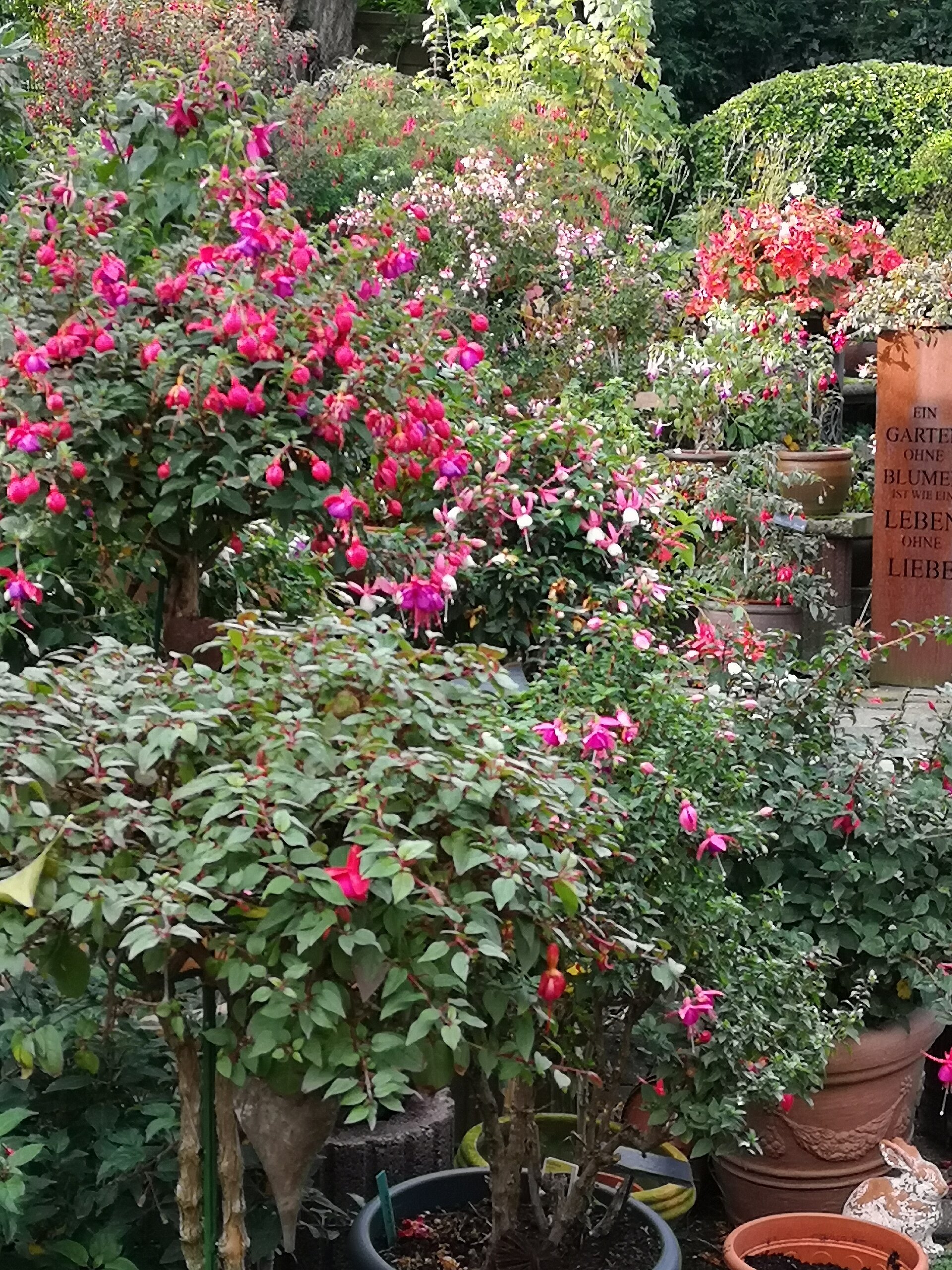 alle Wege sind  "auch mit Rollator" begehbar, ausreichend Sitzgelegenheiten sind vorhanden