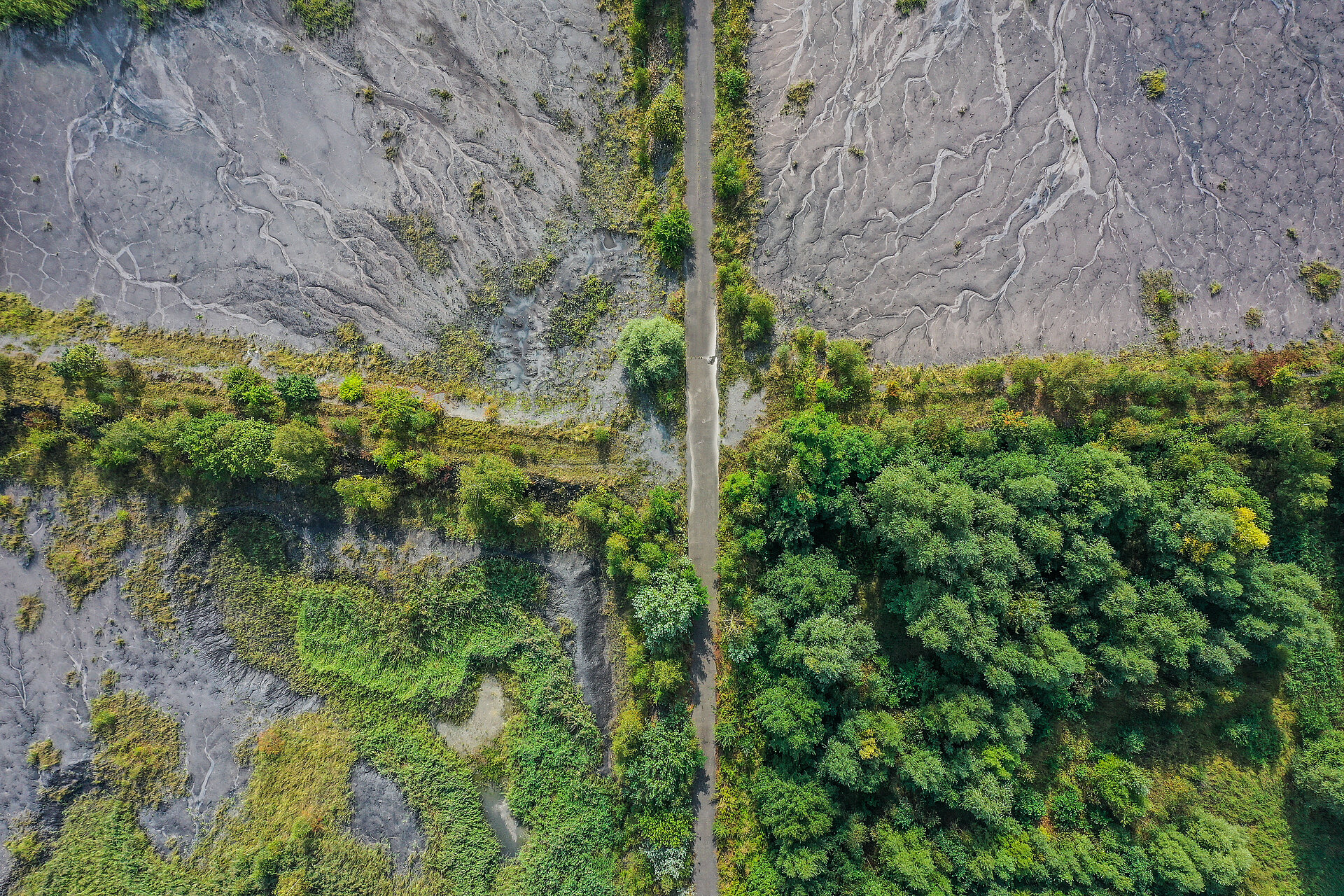 Vogelperspektive auf grüne Bäume und dem Lauf der Natur in Steinen und Boden
