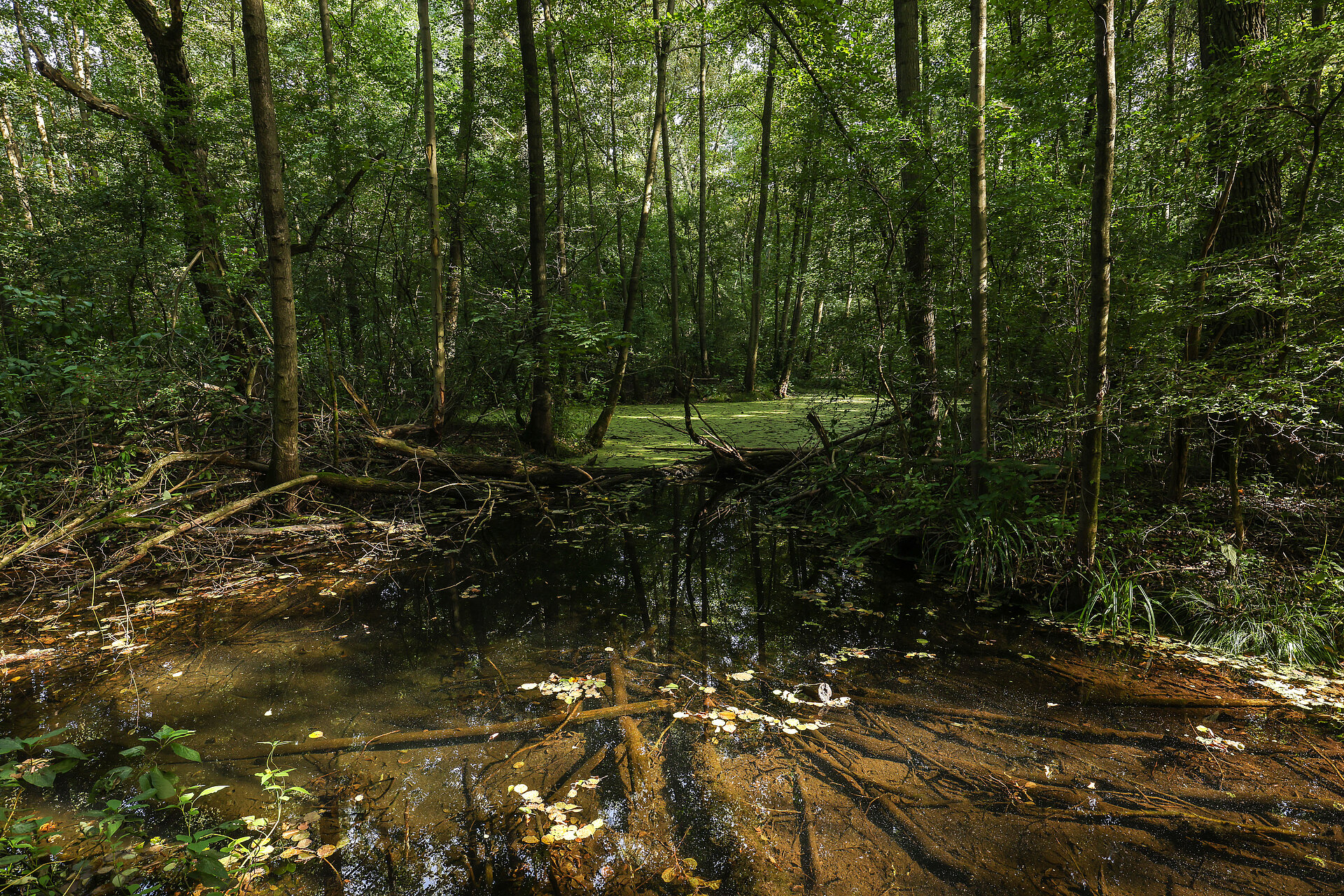 Der Ruhrpark © Rupert Oberhäuser