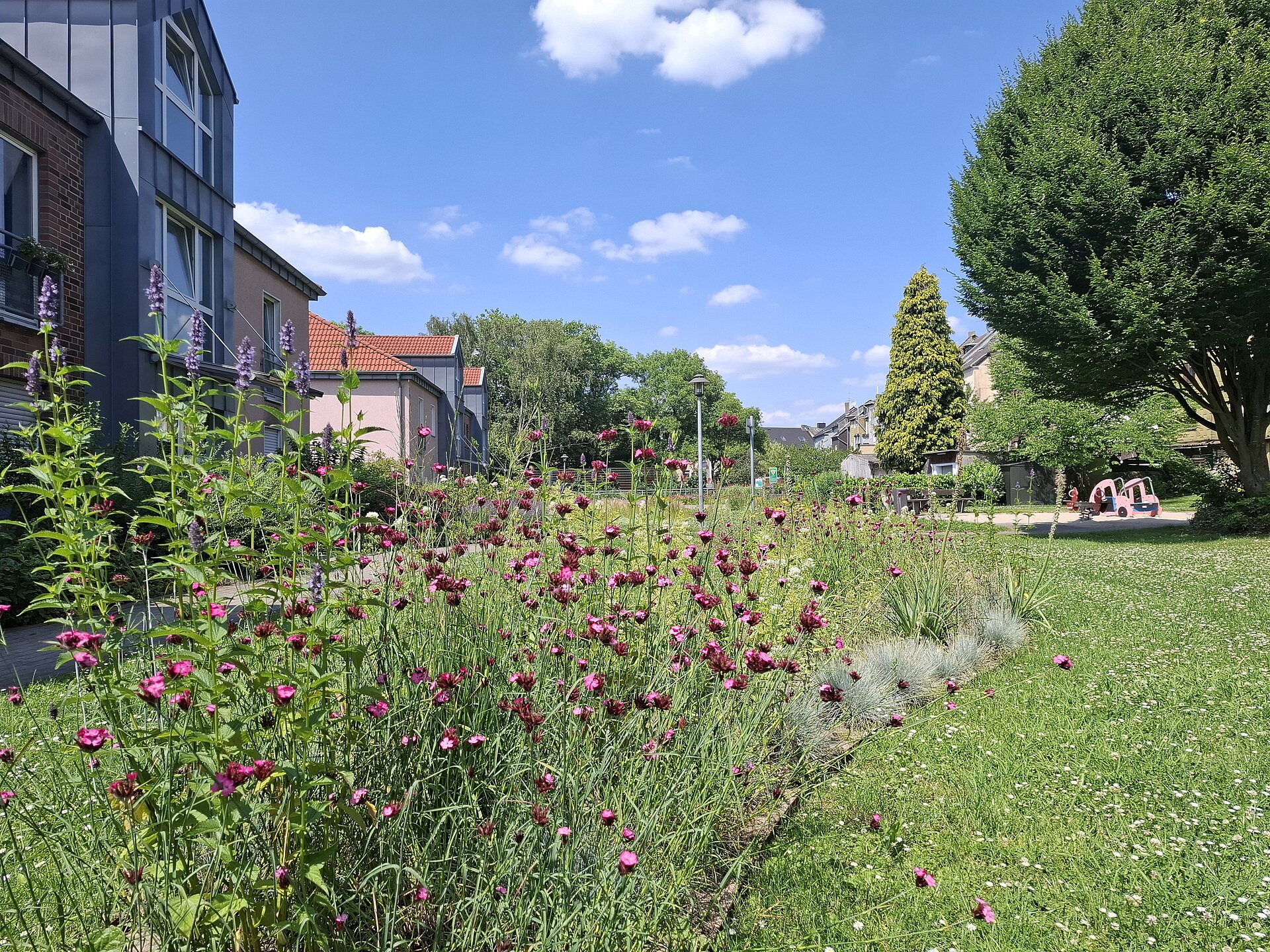 Für Anwohner*innen nutzbare Grünfläche inmitten von Wohnbebauung mit Blumenstreifen und Spielplatz