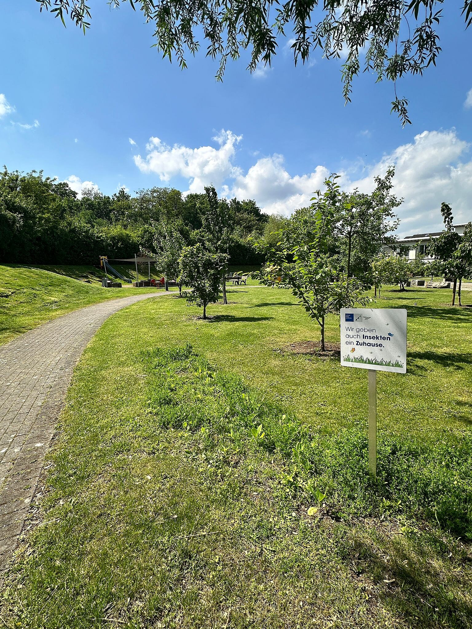 Obstbaumwiese im Genossenschaftsgarten Obstbaumwiese im Genossenschaftsgarten