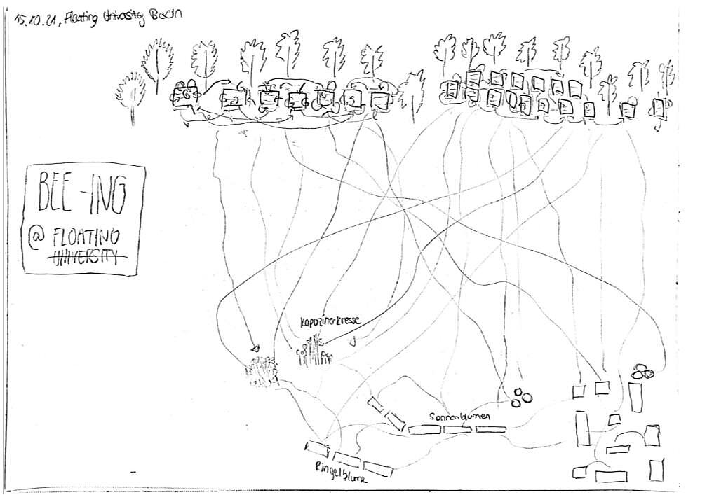 Mapping "BEE-ing" in der Floating University Berlin Kartierung von Bienen in einem umgenutzten Regenrückhaltebecken in Berlin