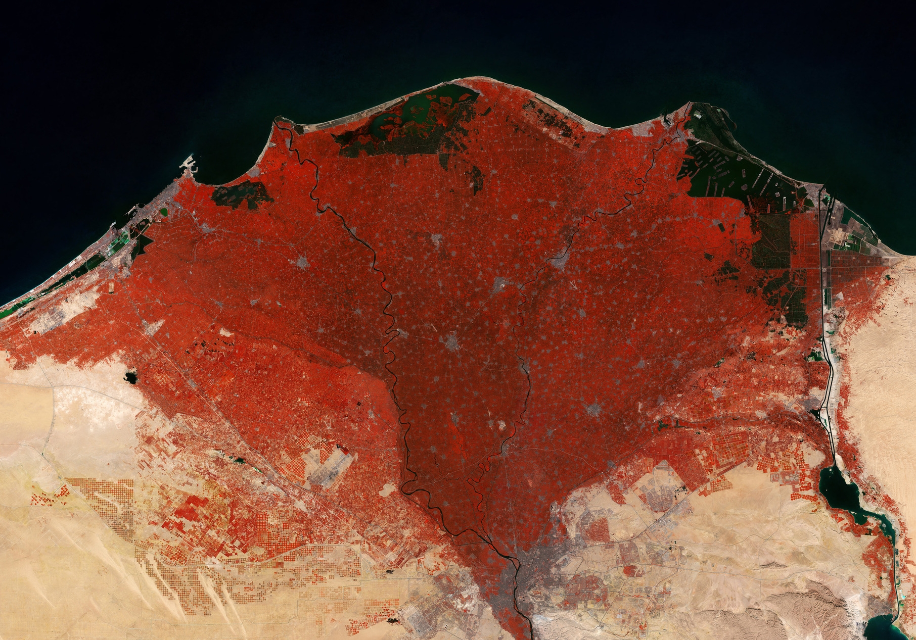 Das Nildelta Man sieht das Nildelta in einer Satellitenaufnahme. Es erscheint gegen jede Sehgewohnheit in rot.