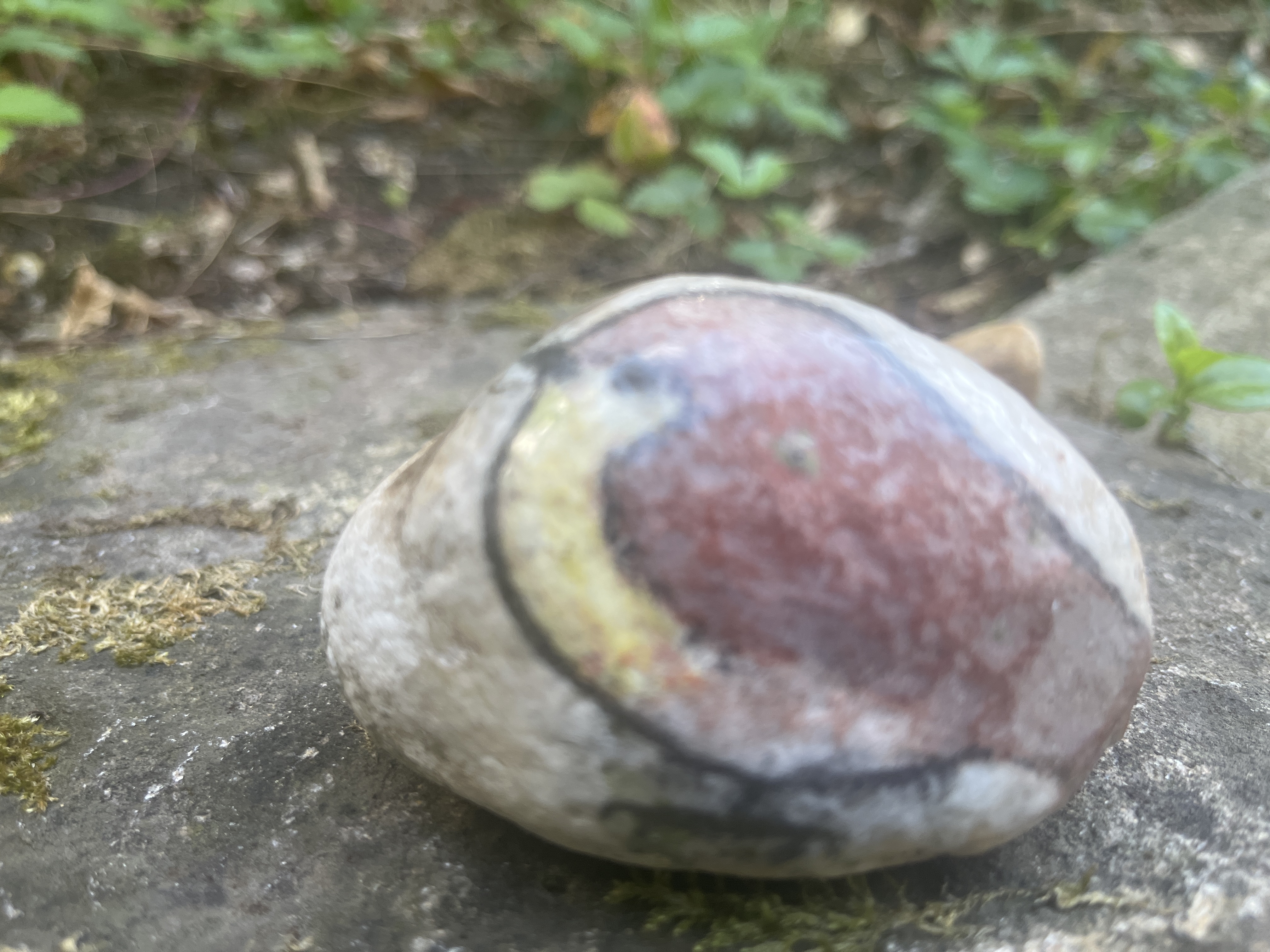 Steinreich Ein Vogel wurde auf einen Stein gemalt.