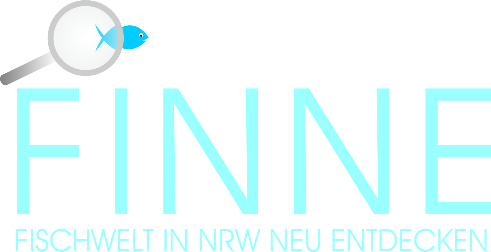 FINNE_Projekt FINNE steht für Fischwelt in NRW neu entdecken. Über dem Wort FINNE befindet sich eine Lupe, durch die ein Fisch betrachtet wird.