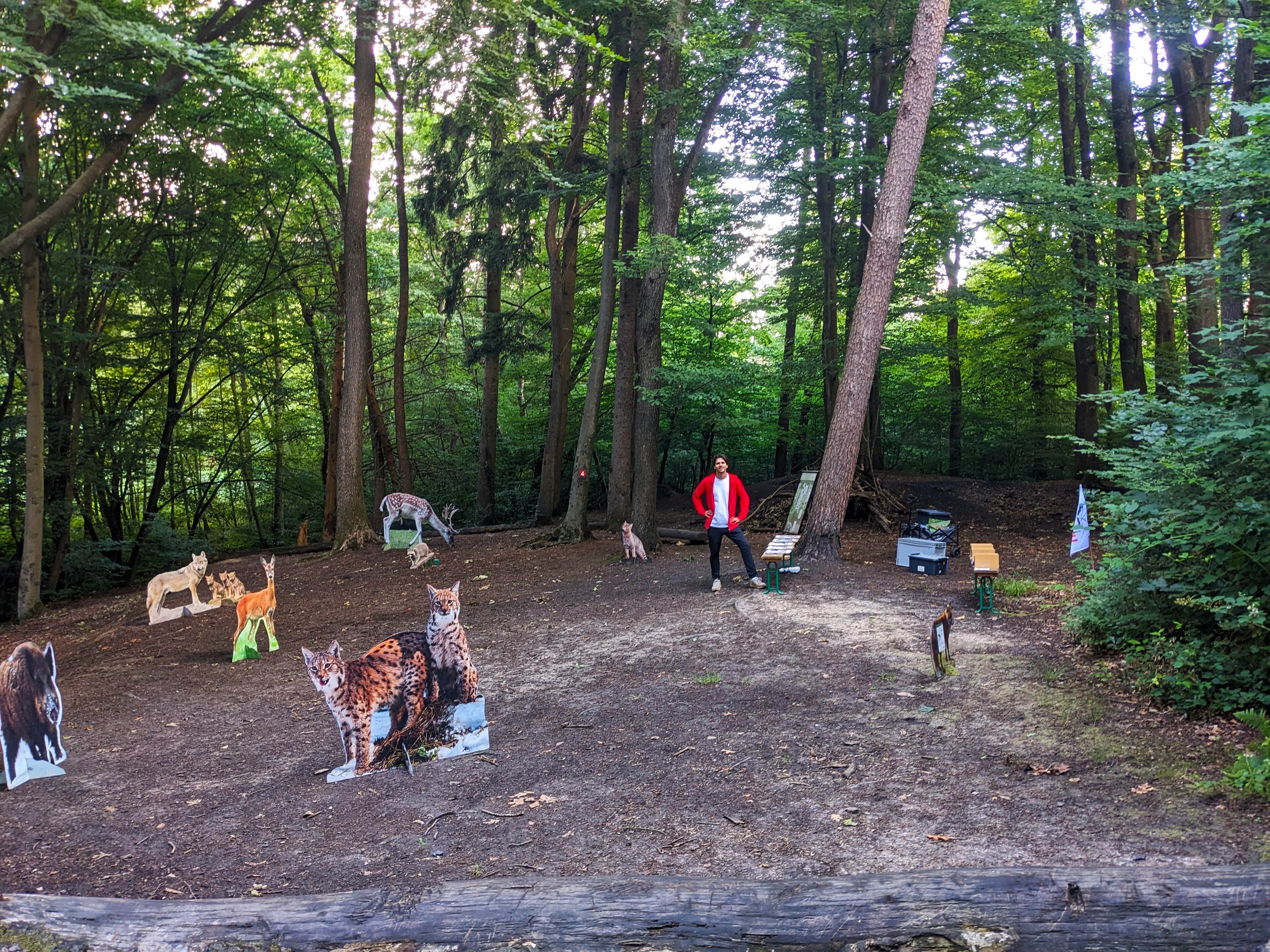 Tiere des Waldes_Tieraufsteller_2025 Realitätsnahe Tieraufsteller