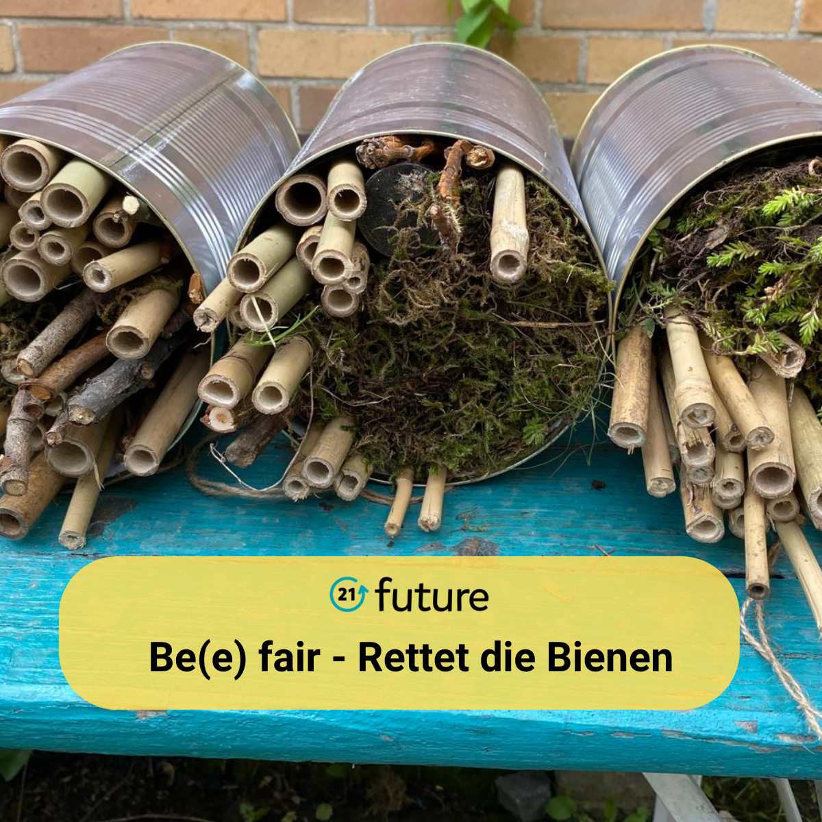 Rettet_die_Bienen_21future_2026 Es sind Insektenhotels zu sehen sowie der Text: "21future - Be(e) fair - Rettet die Bienen".