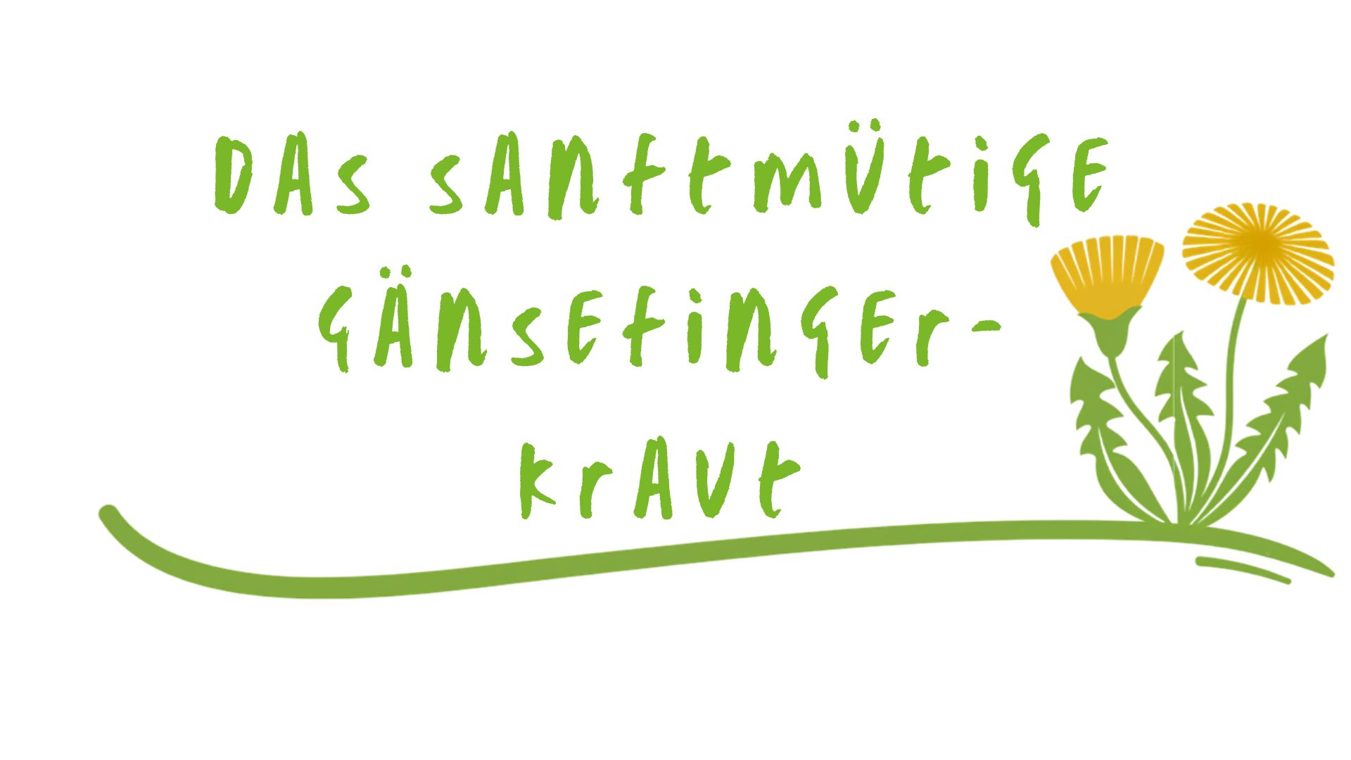 Wertevoll Zeichnung Gäansefingerkraut