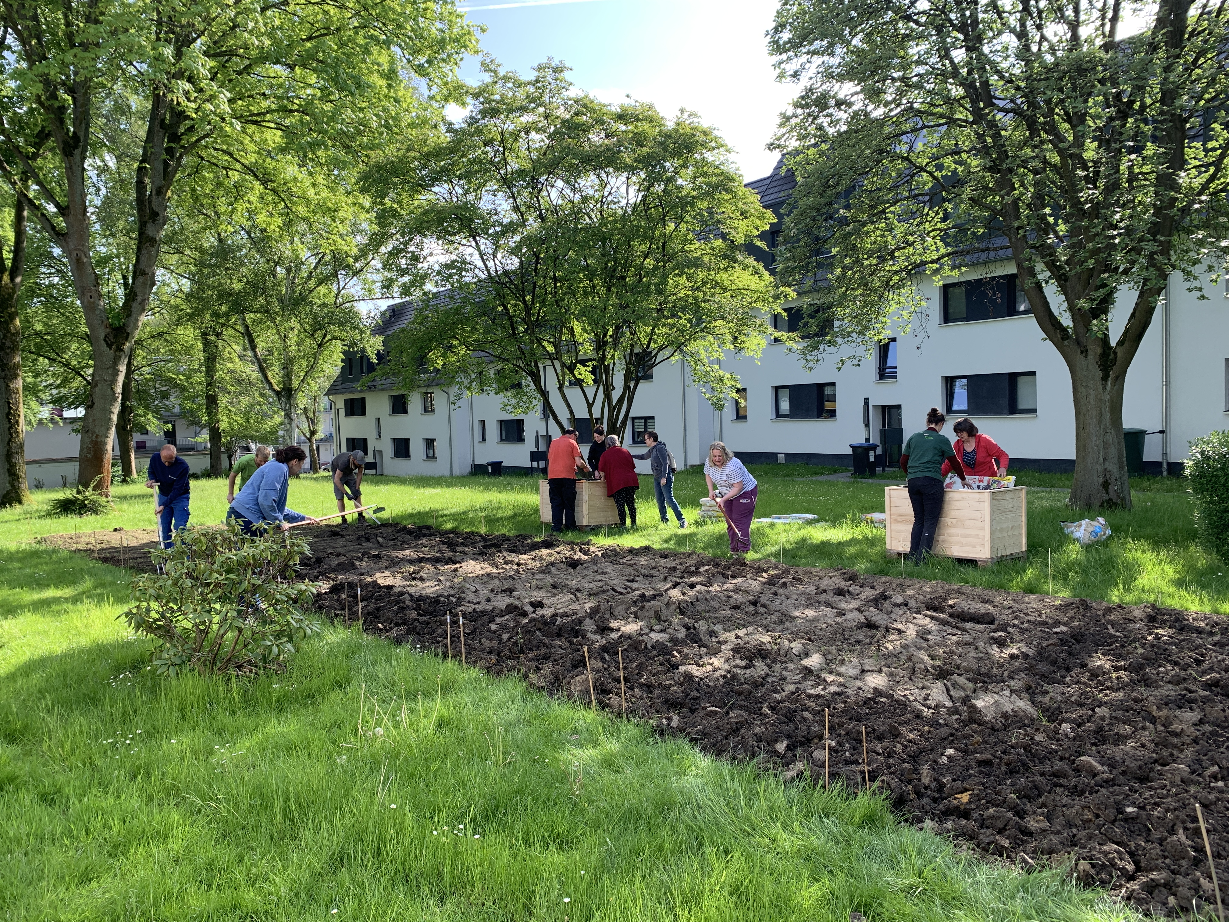 Acker, Menschen, Zwischenraum, Hochbeete
