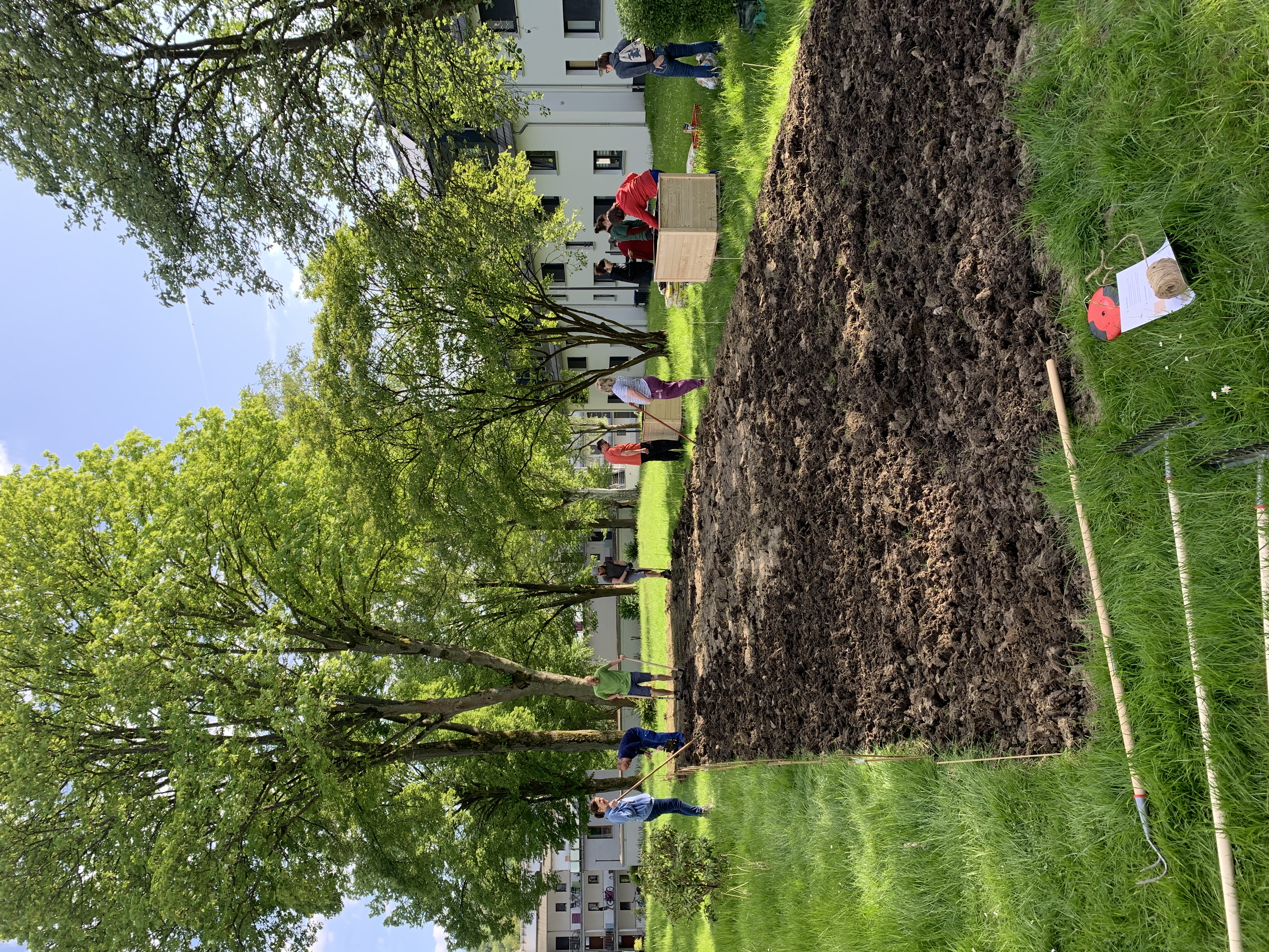 Acker, Menschen, Zwischenraum, Hochbeete