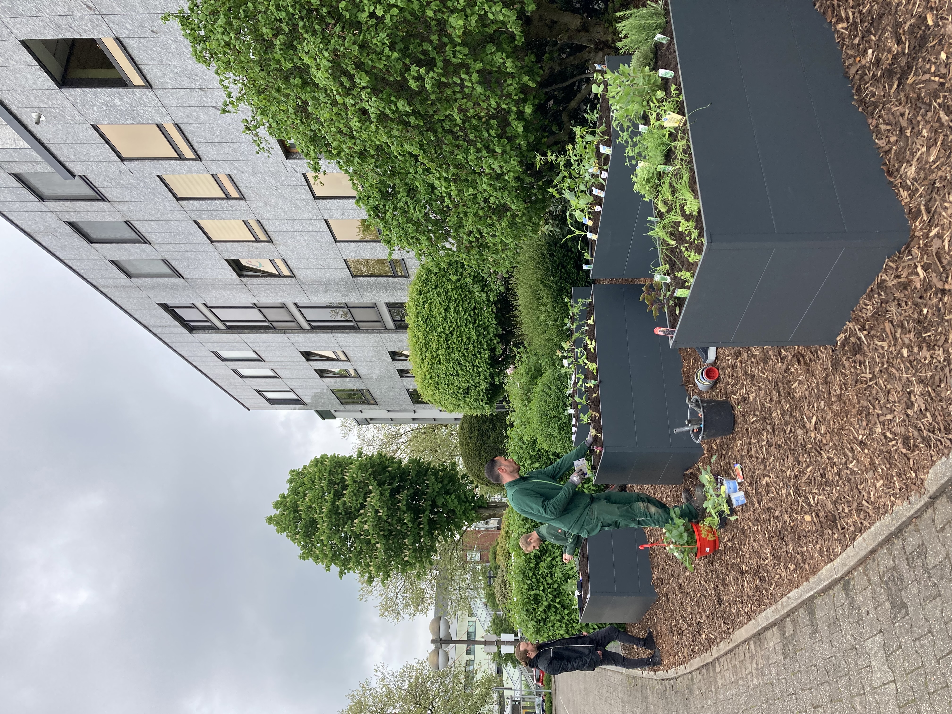 Hochbeete vorm Verwaltungsgebäude