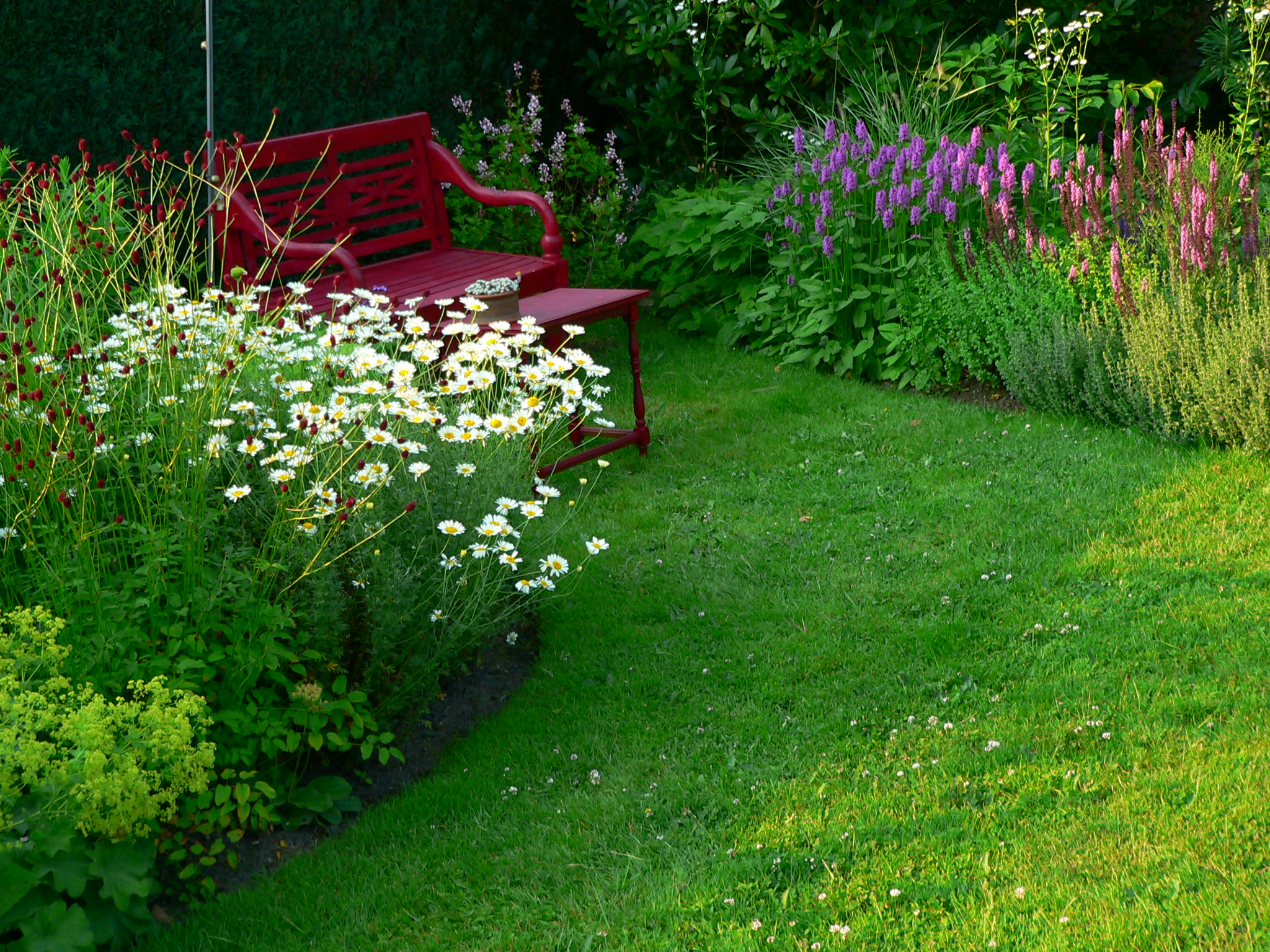 Naturnahe Gartengestaltung mit Stauden 