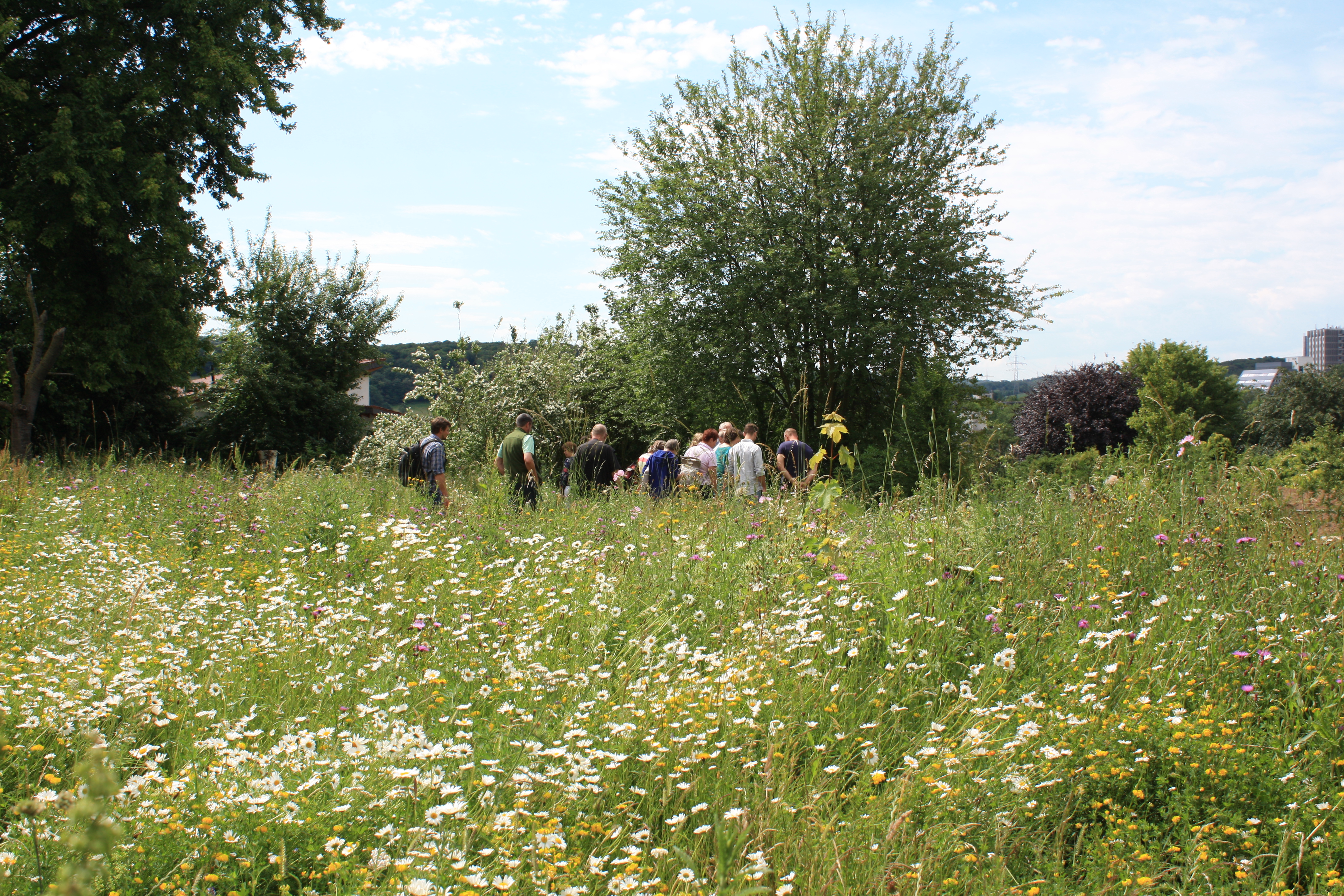 Ökozelle Blumenwiese, Menschen