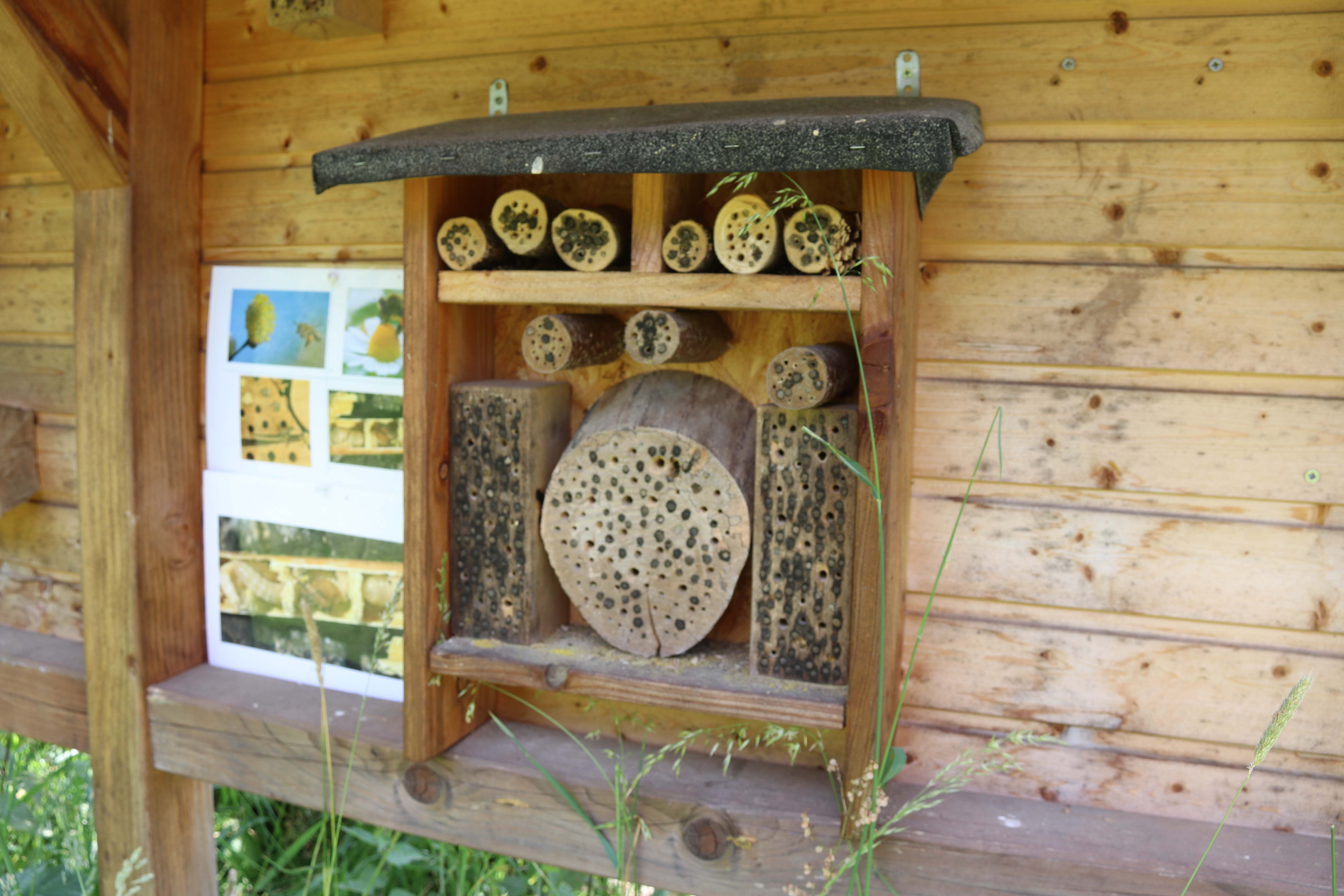 Insektenhotel