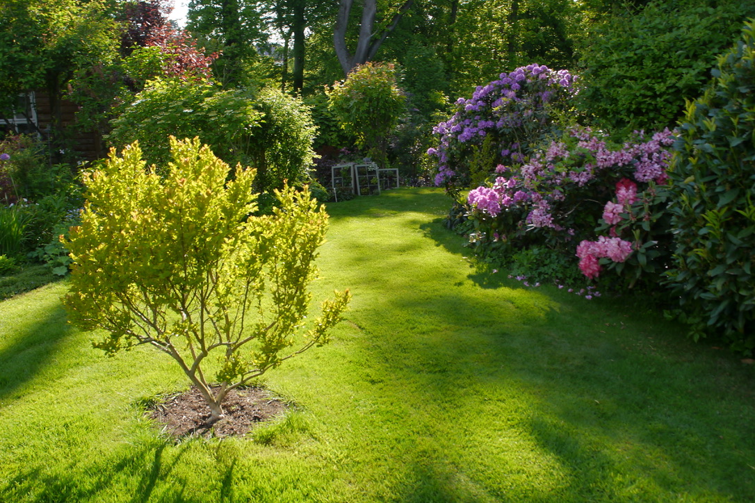 Naturnaher Garten Garten
