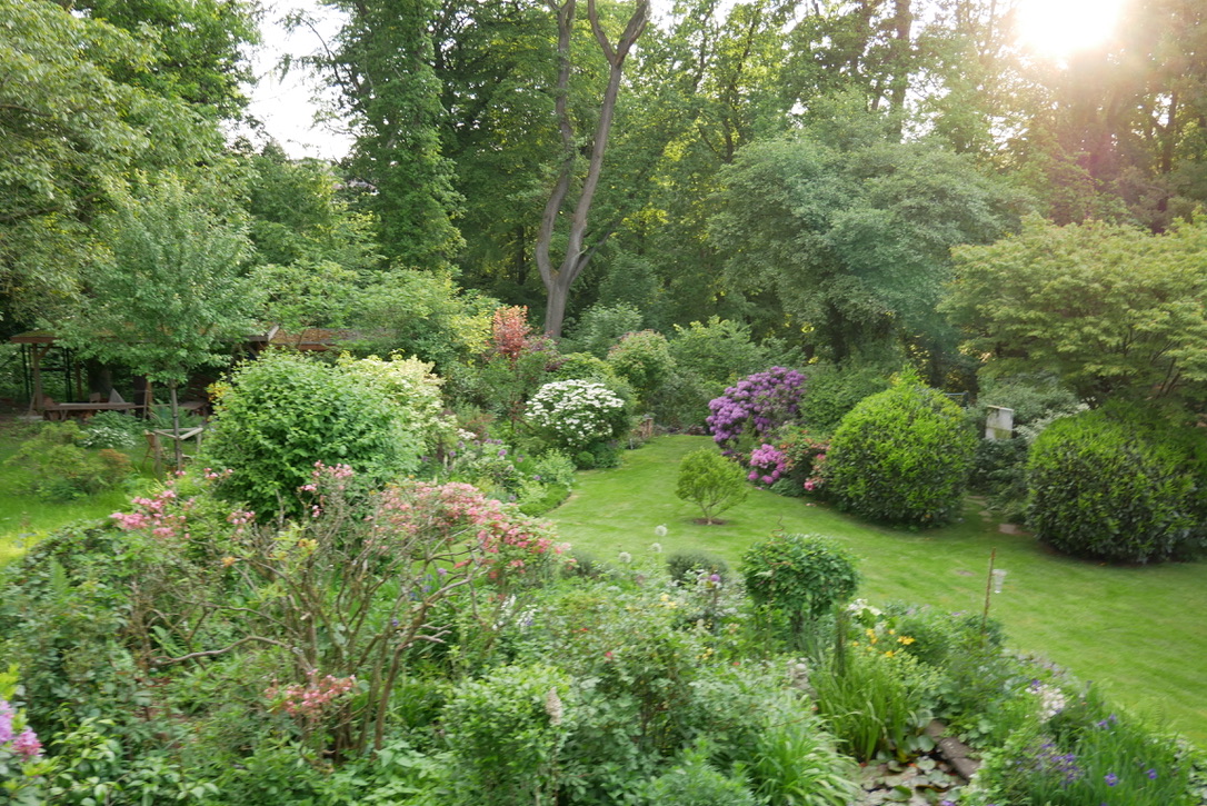 Naturnaher Garten Garten