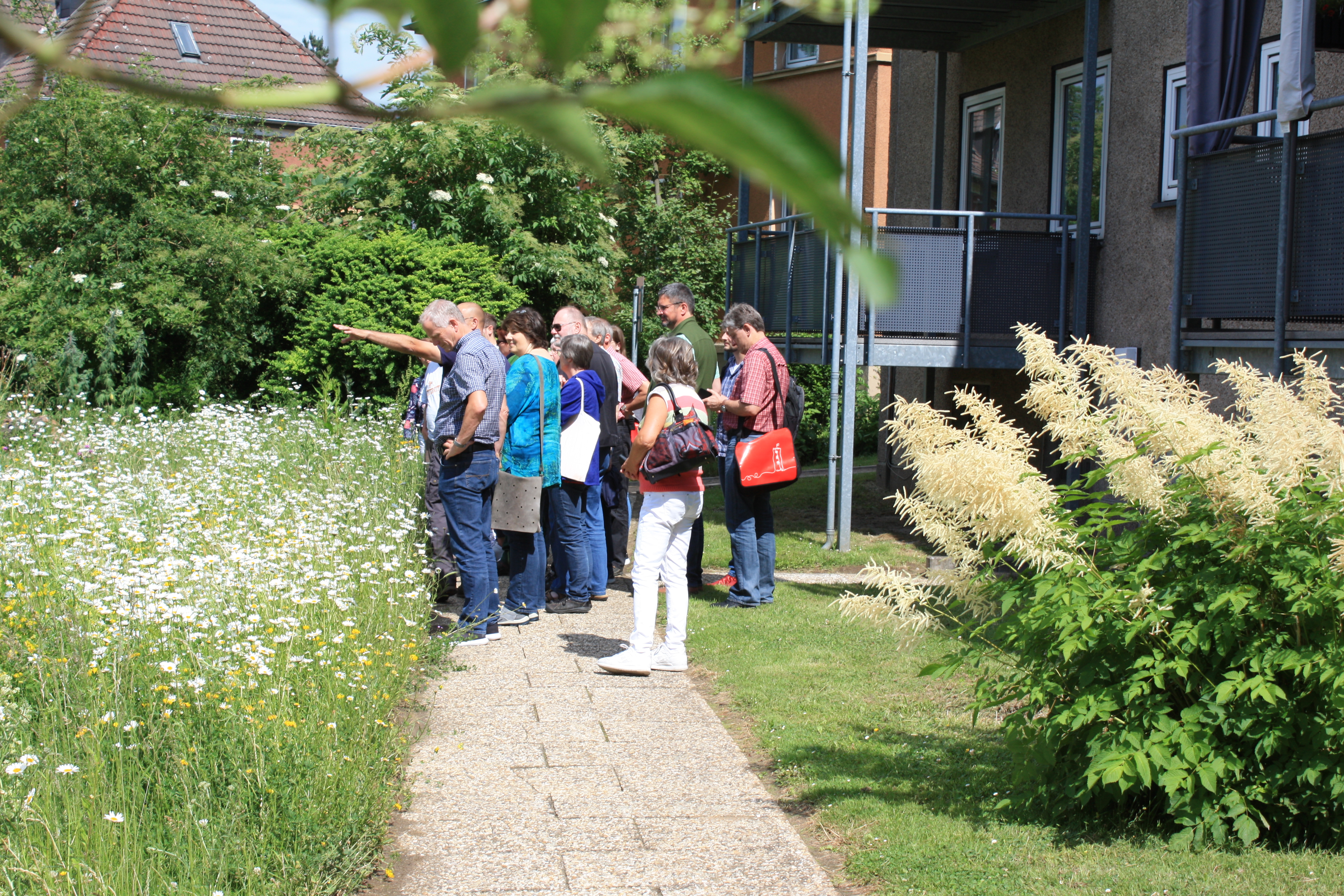 Wildwiese Wildwiese, Gruppe, Menschen