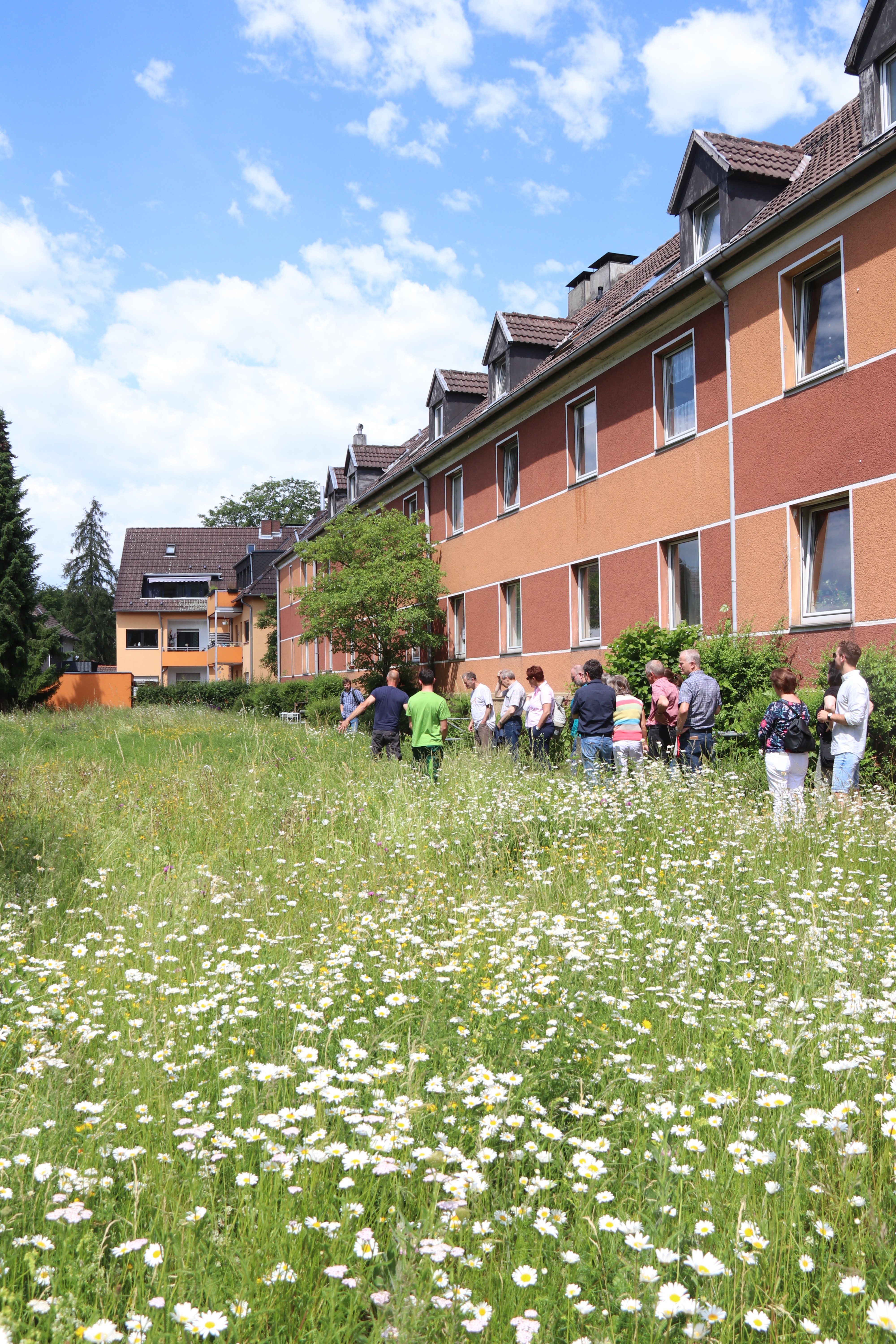 Wildwiese, Gebäude