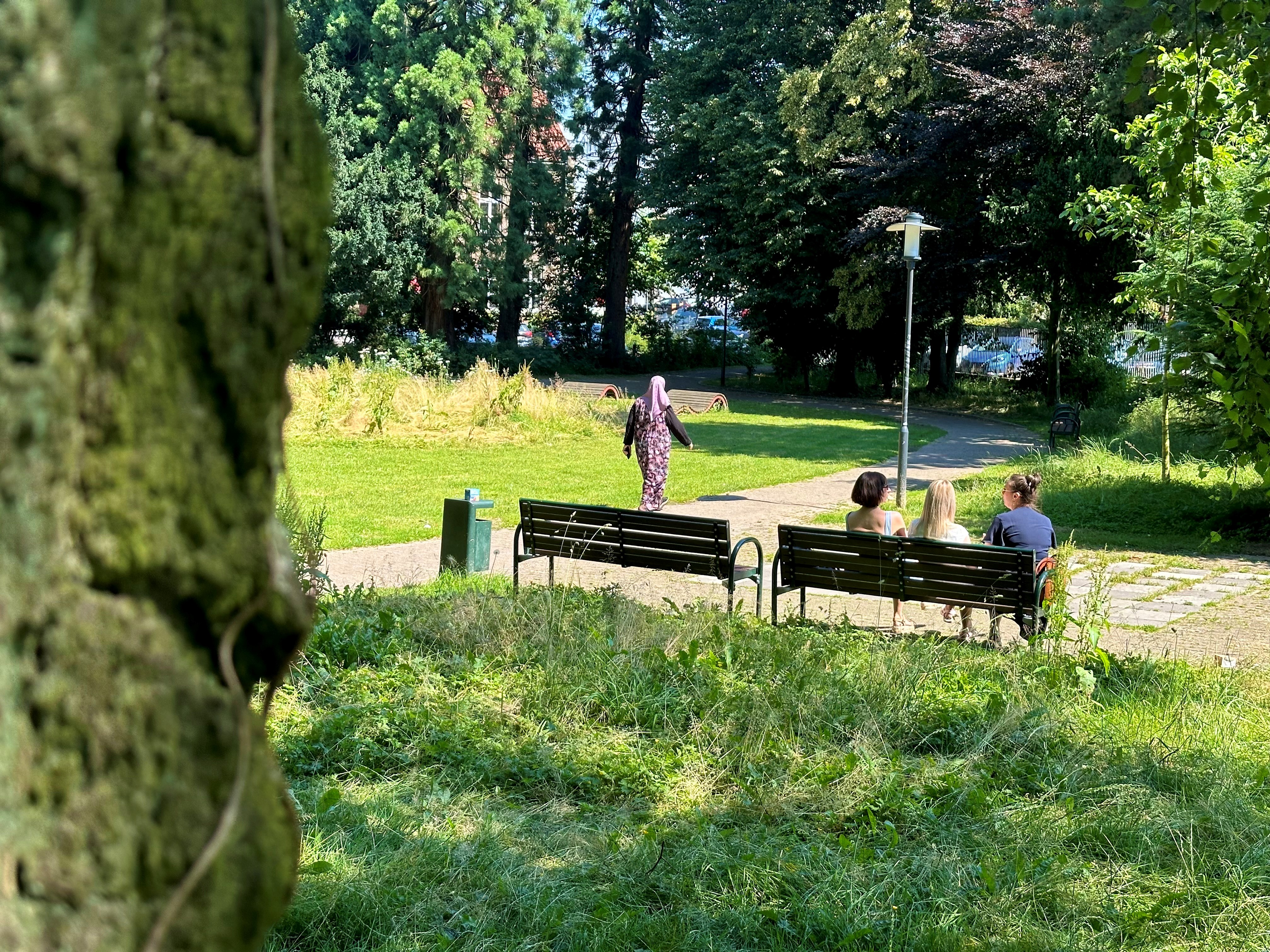 Hillscher Garten Hill'scher Garten