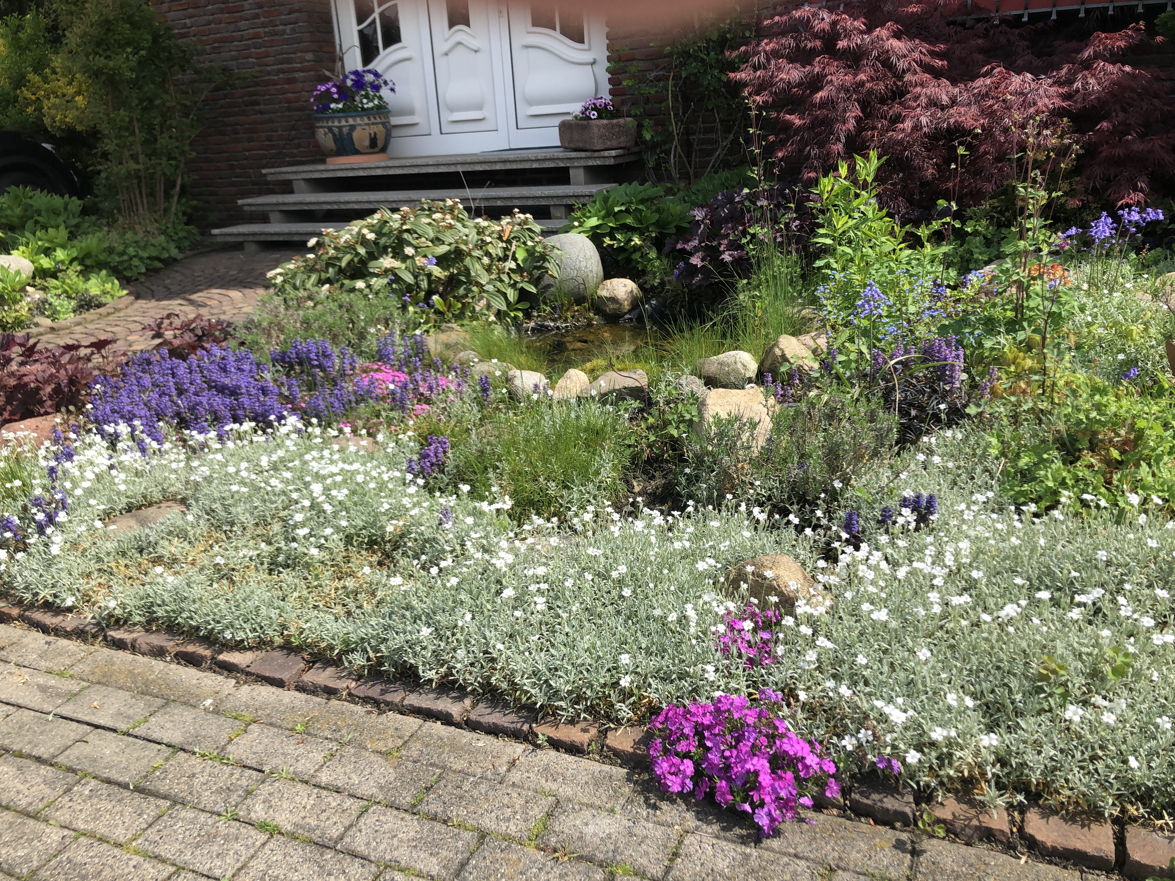 Wettbewerb_Grüner Vorgarten_Lünen_2023 sonniger Staudengarten mit Blick auf Haus