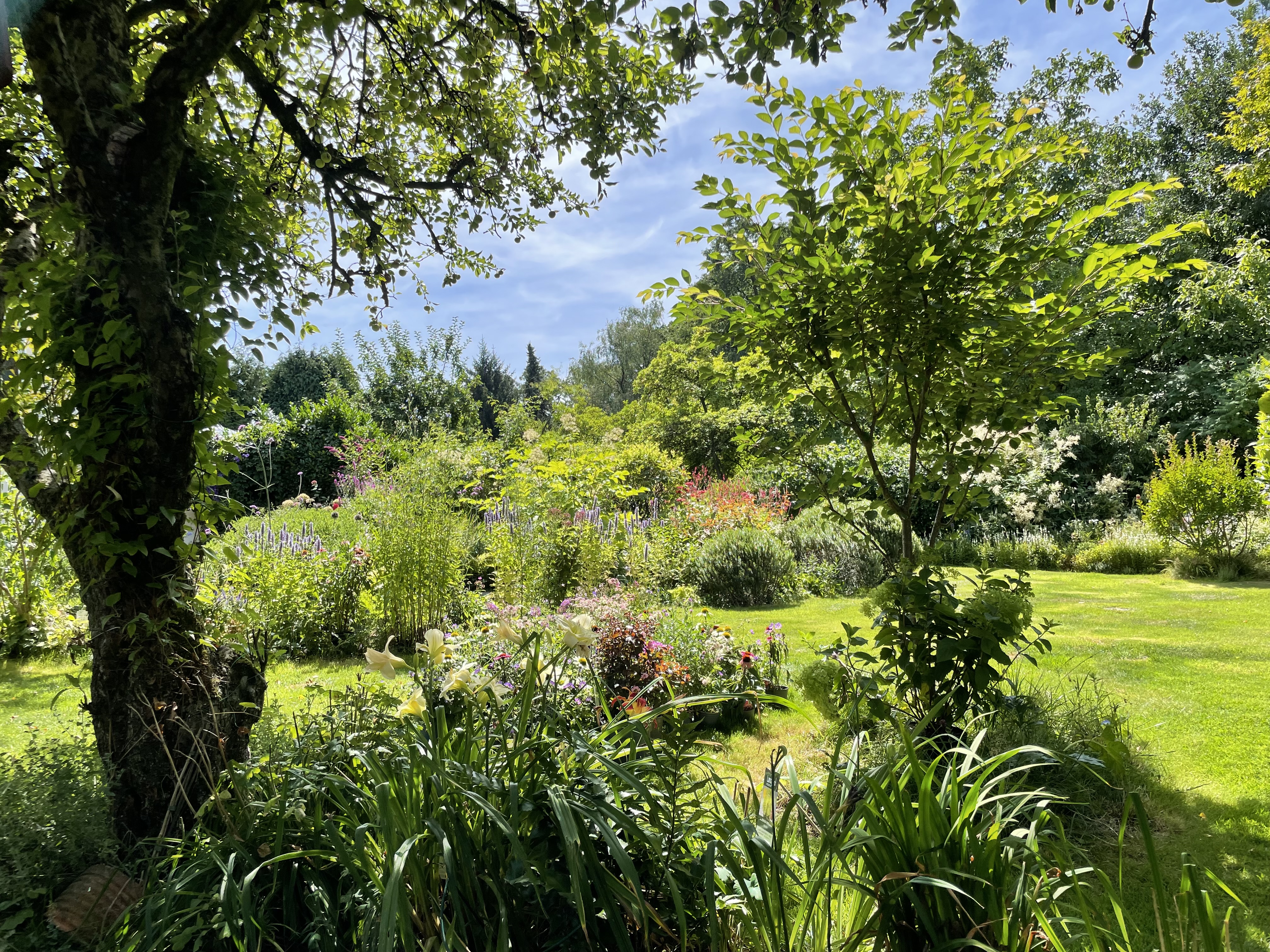 Ein Blick auf den Gartenausschnitt mit Gehölzen und blühenden Beeten