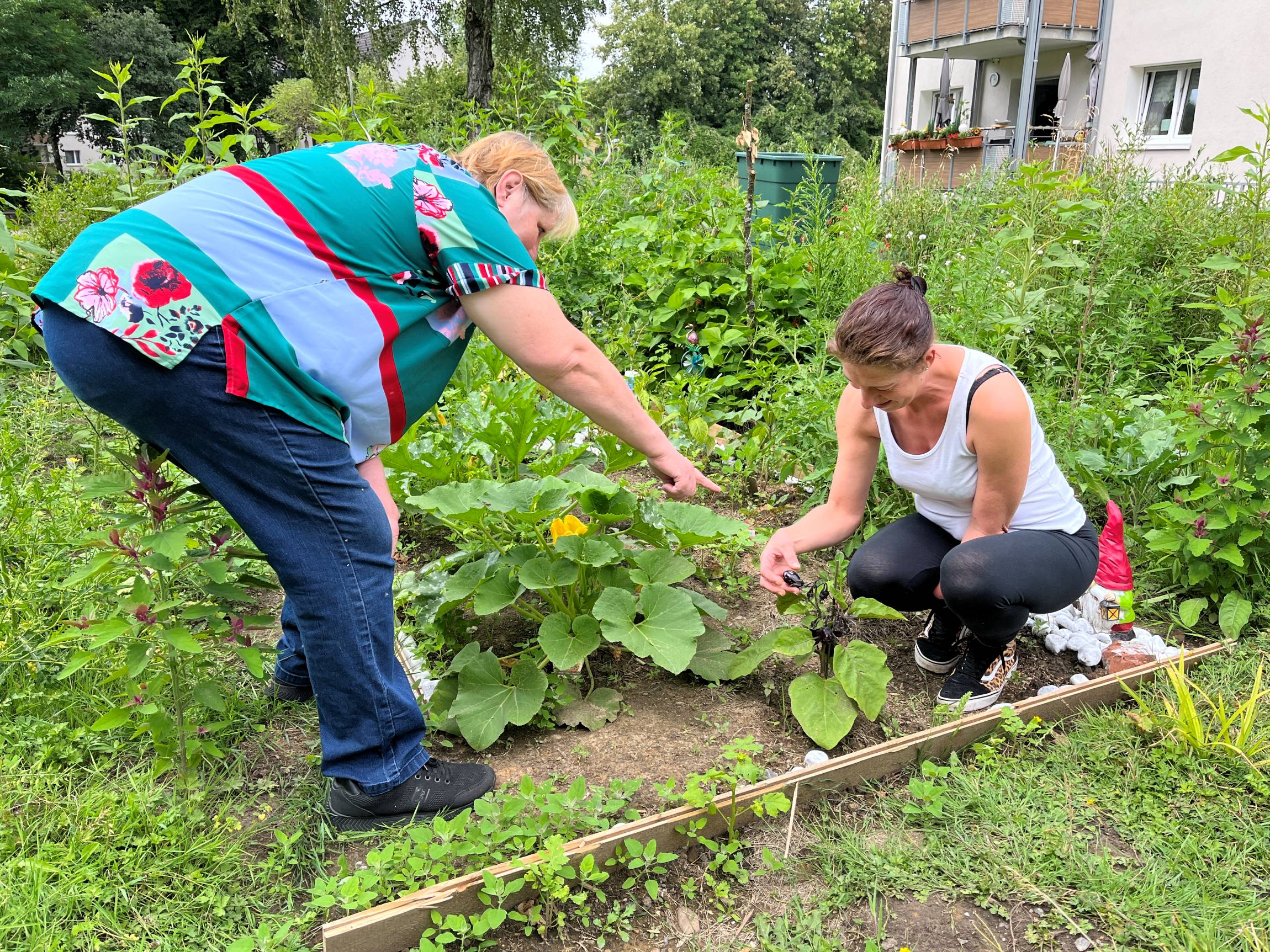 Mietergarten auf den Außenflächen Schwanenbuschstraße in Essen
