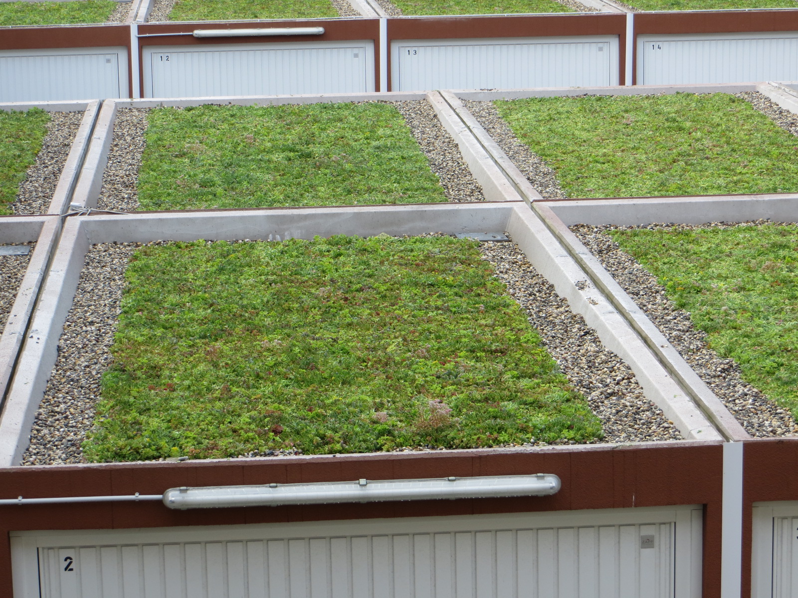 Begrünte Garagenhofdächer in DU-Rheinhausen