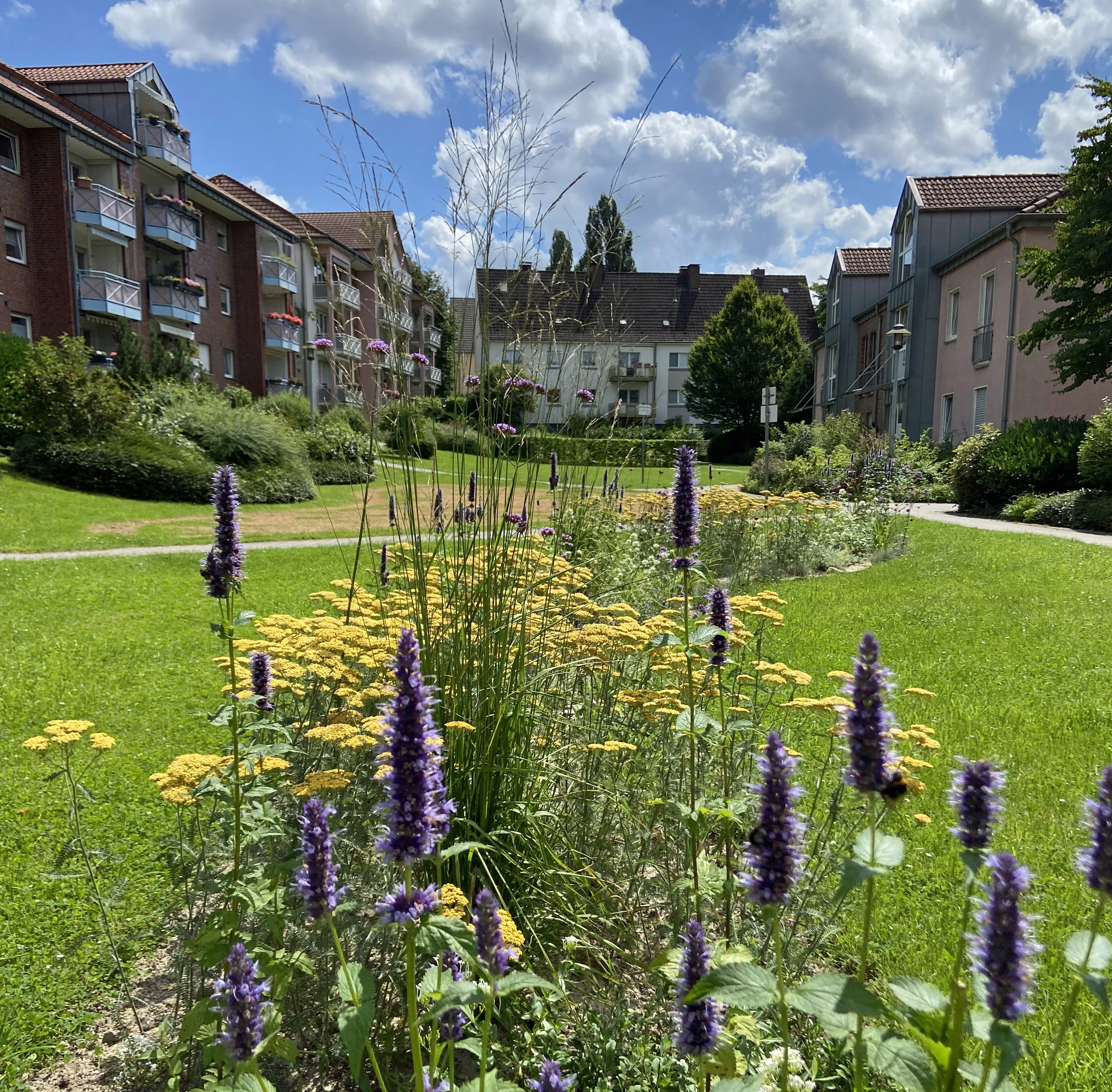 Für Anwohner*innen nutzbare Grünfläche inmitten von Wohnbebauung mit Blumenstreifen