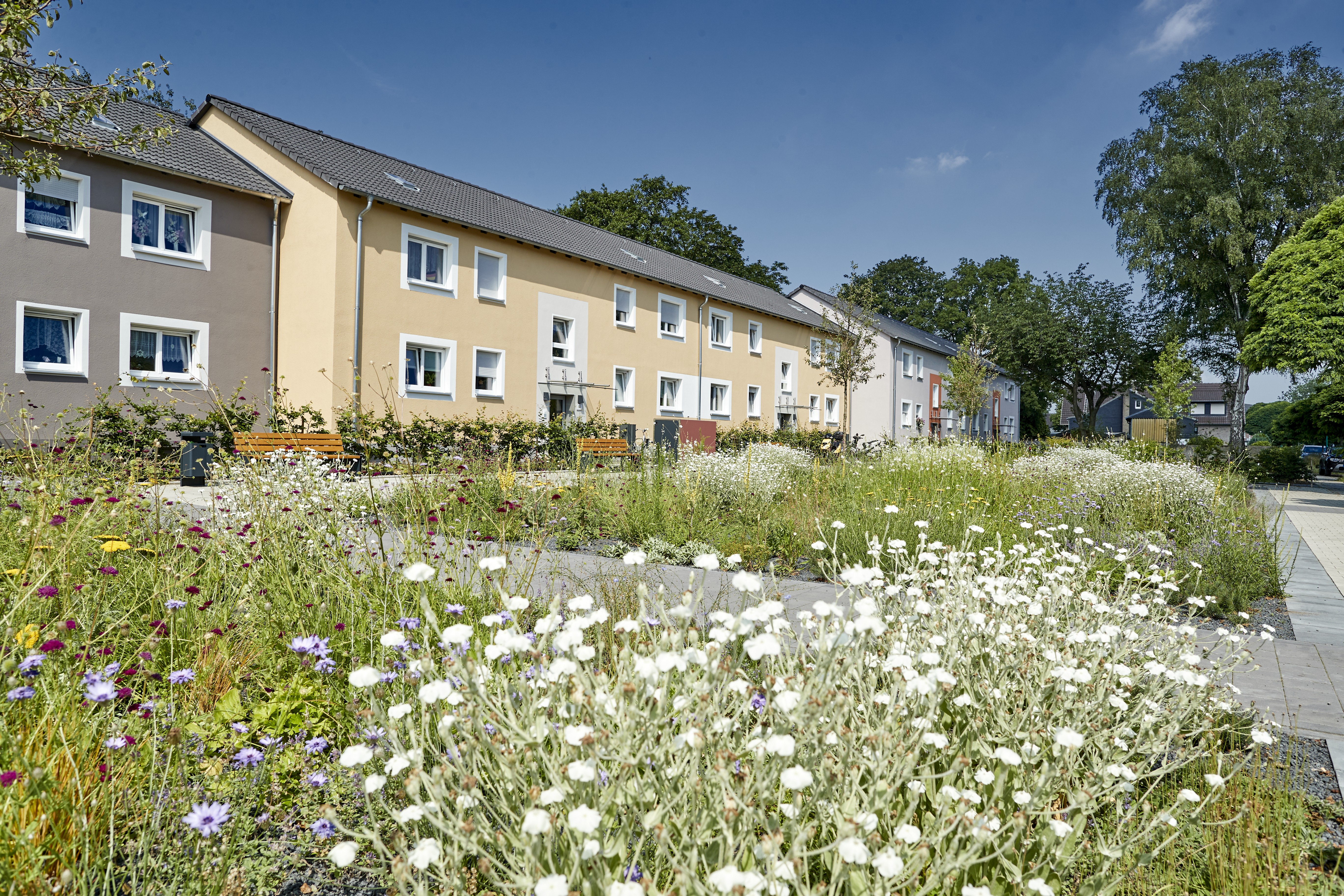 Wohnsiedlung mit Grünanlagen und Bänken