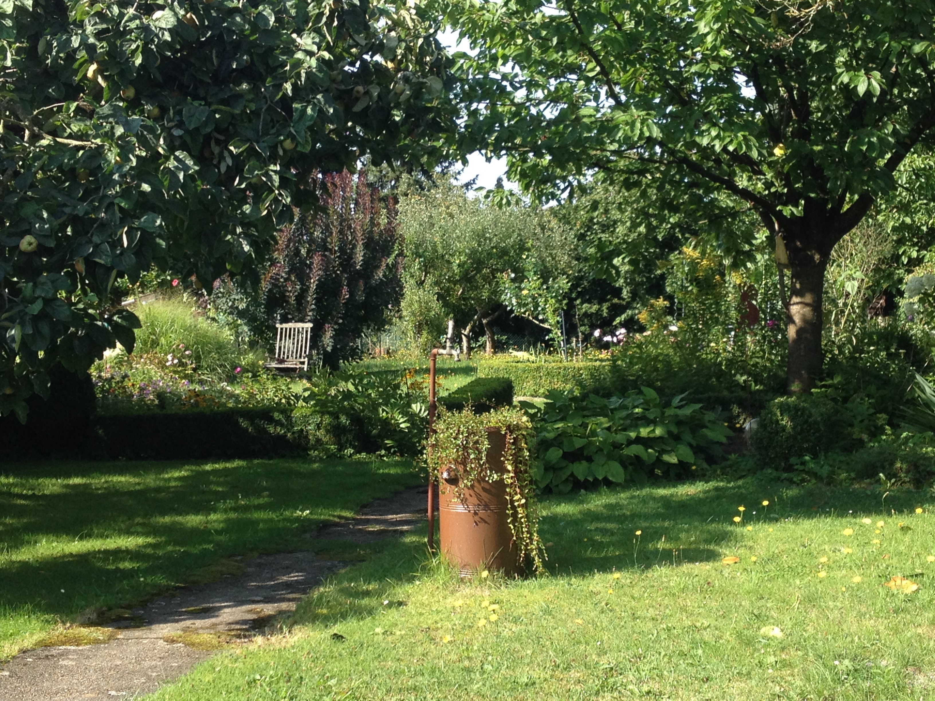 Testprojekt Anna_Bochum_Anna Schwab_2025 Gartenblick mit Wiese und Bäumen