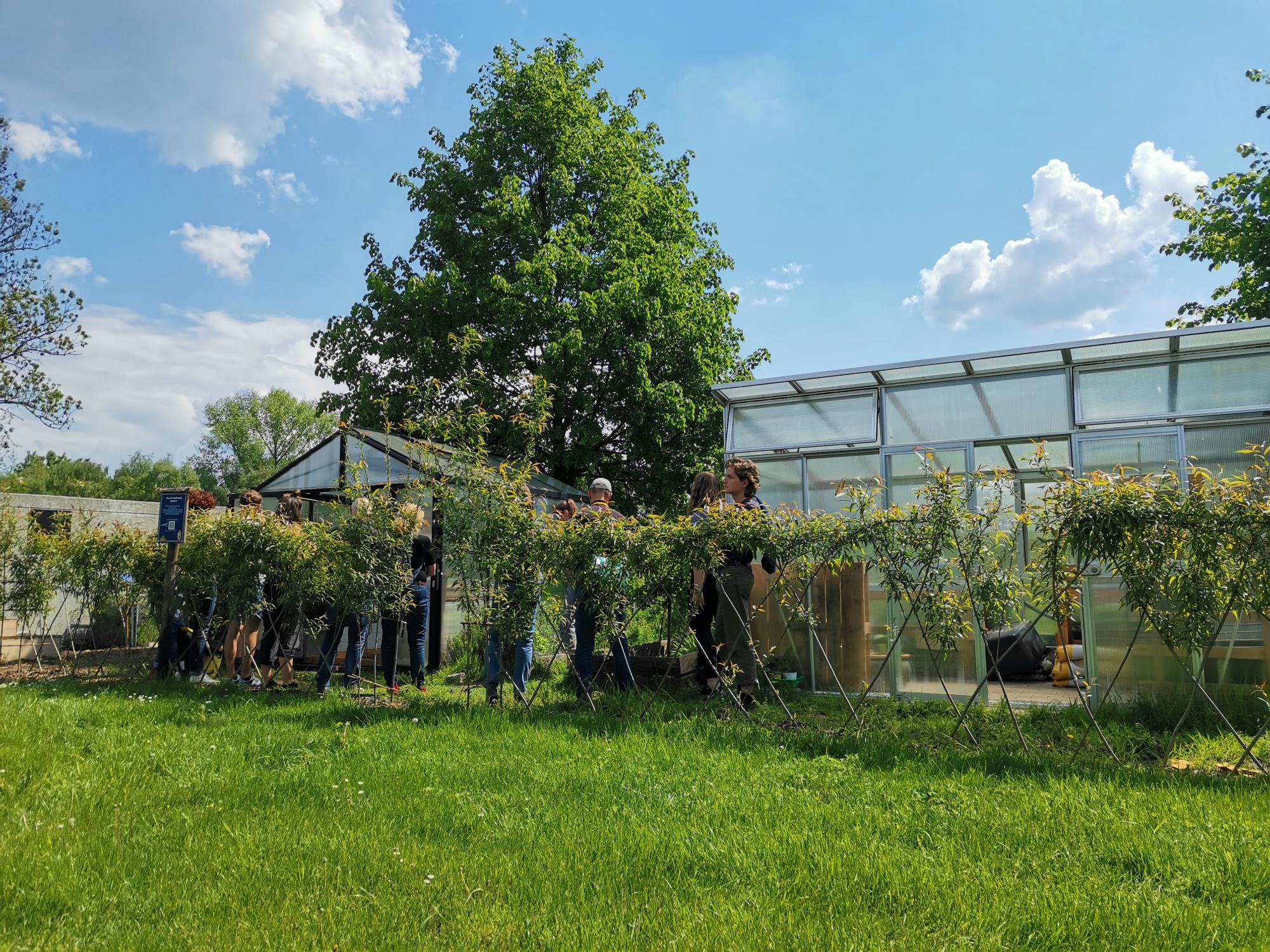TSC Eintracht Garten Gewächshaus TSC Eintracht Garten Gewächshaus