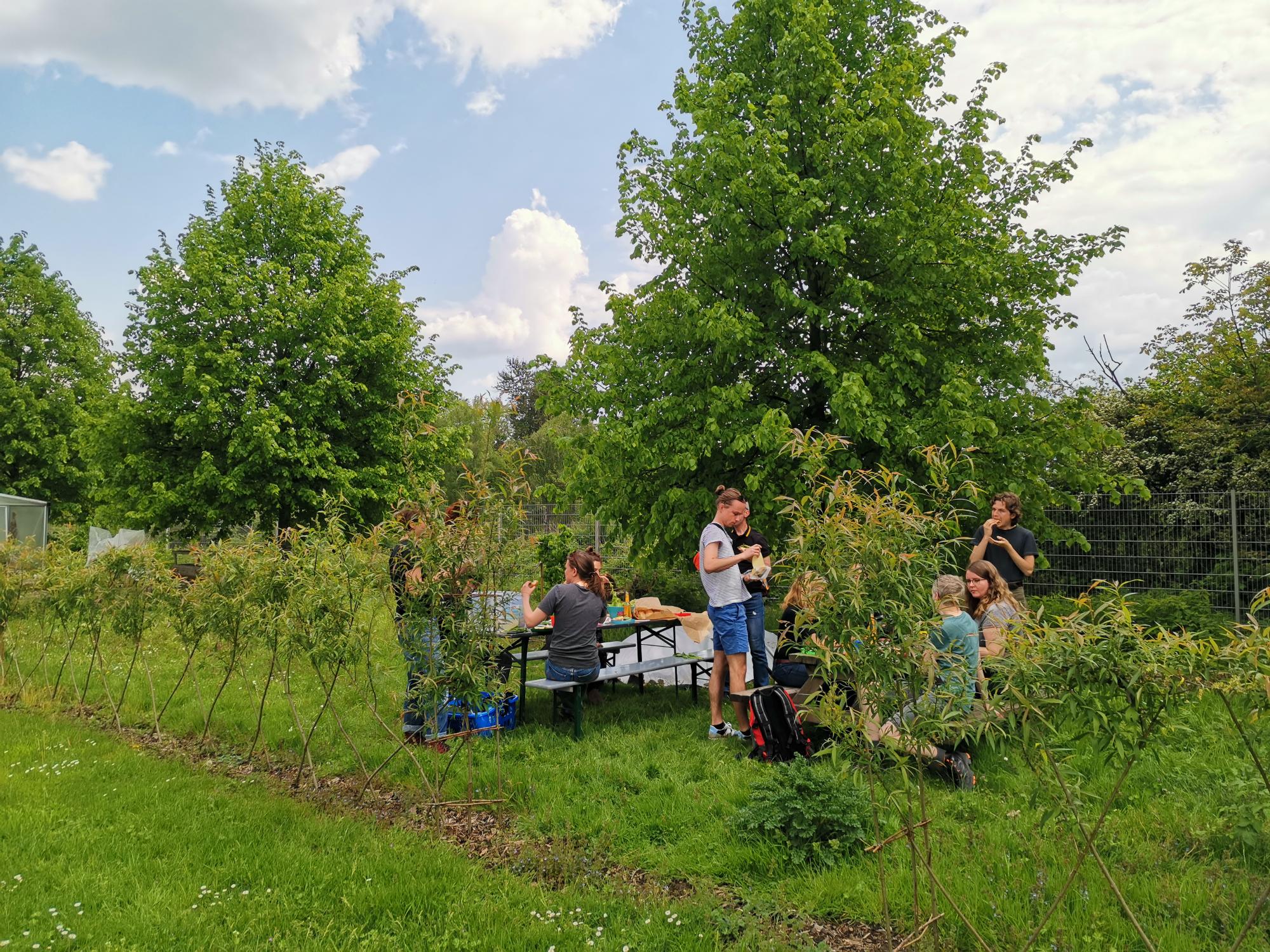 TSC Eintracht Garten Picknick TSC Eintracht Garten Picknick