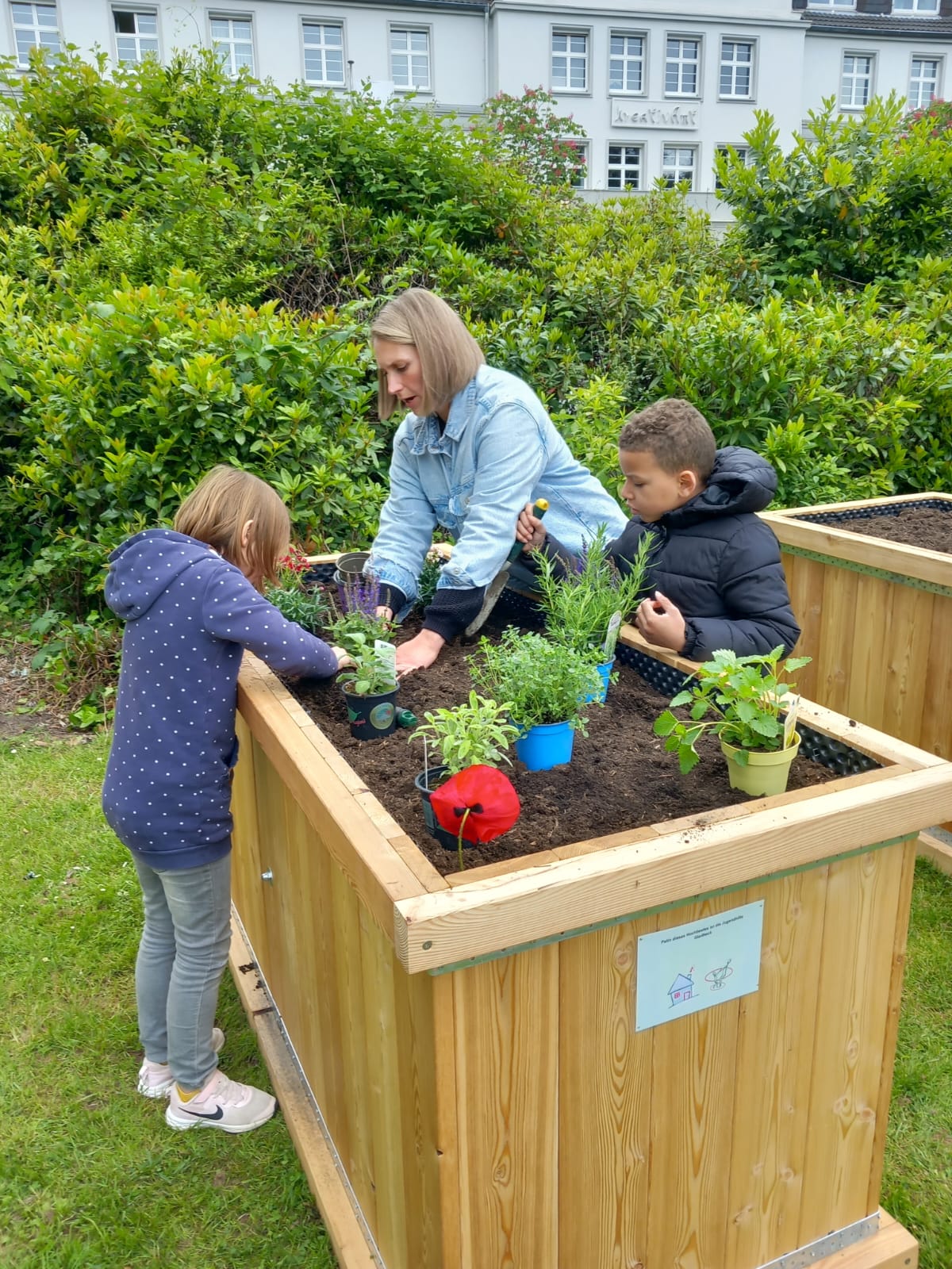 Interkultureller Hochbeetgarten Gladbeck, Erzieherin Katharina Eck von der Jugendhilfe bepflanzt mit Kindern das Hochbeet