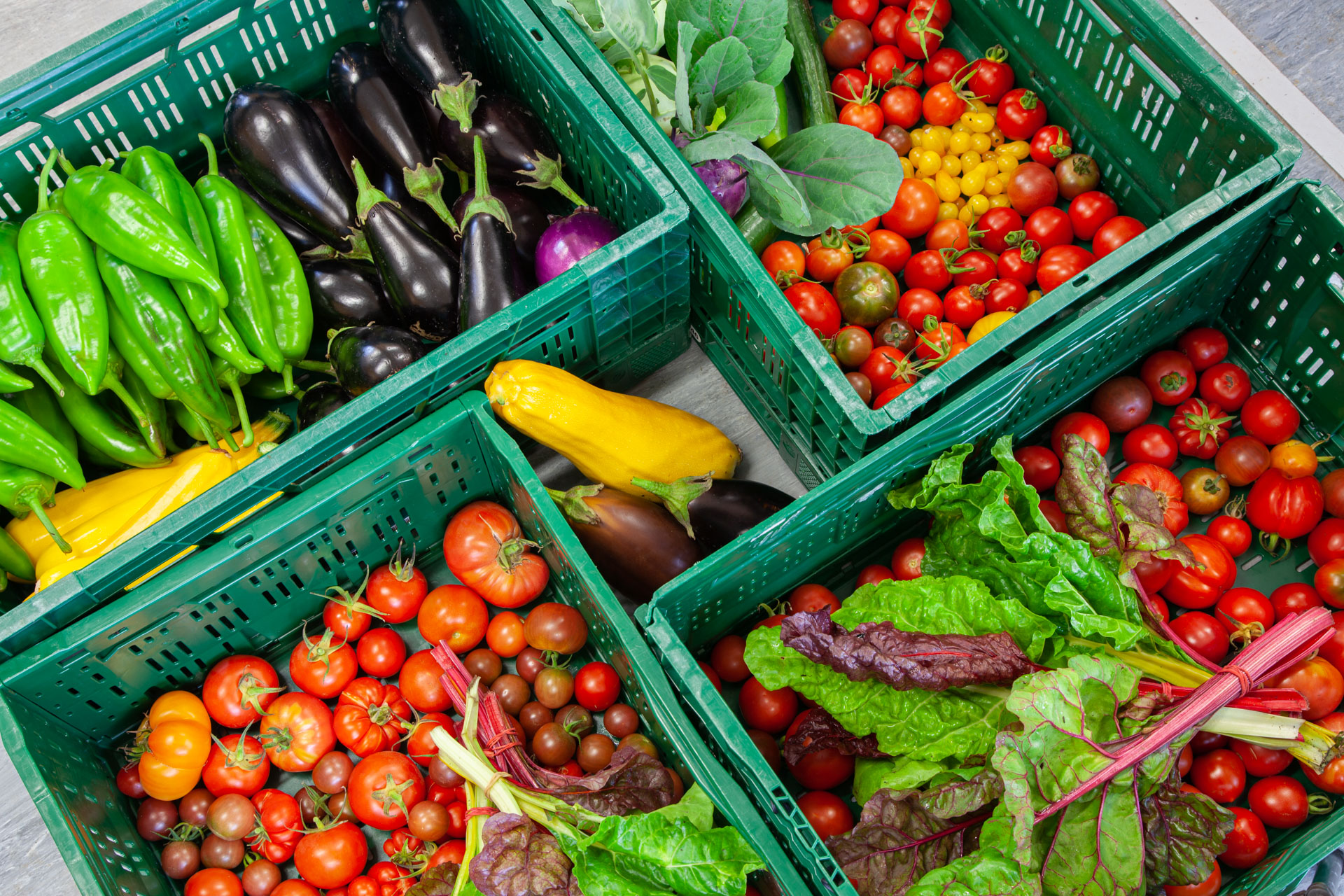 Sommergemüse Tomaten, Parika, Aubergine, Mangold
